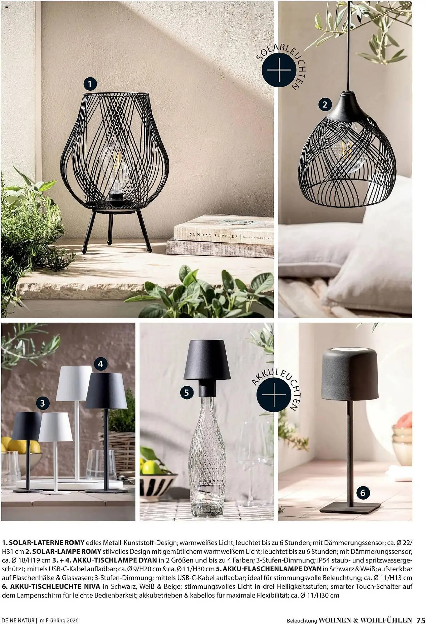 Dehner Prospekt von 4. März bis 31. Mai 2026 - Prospekt seite 75
