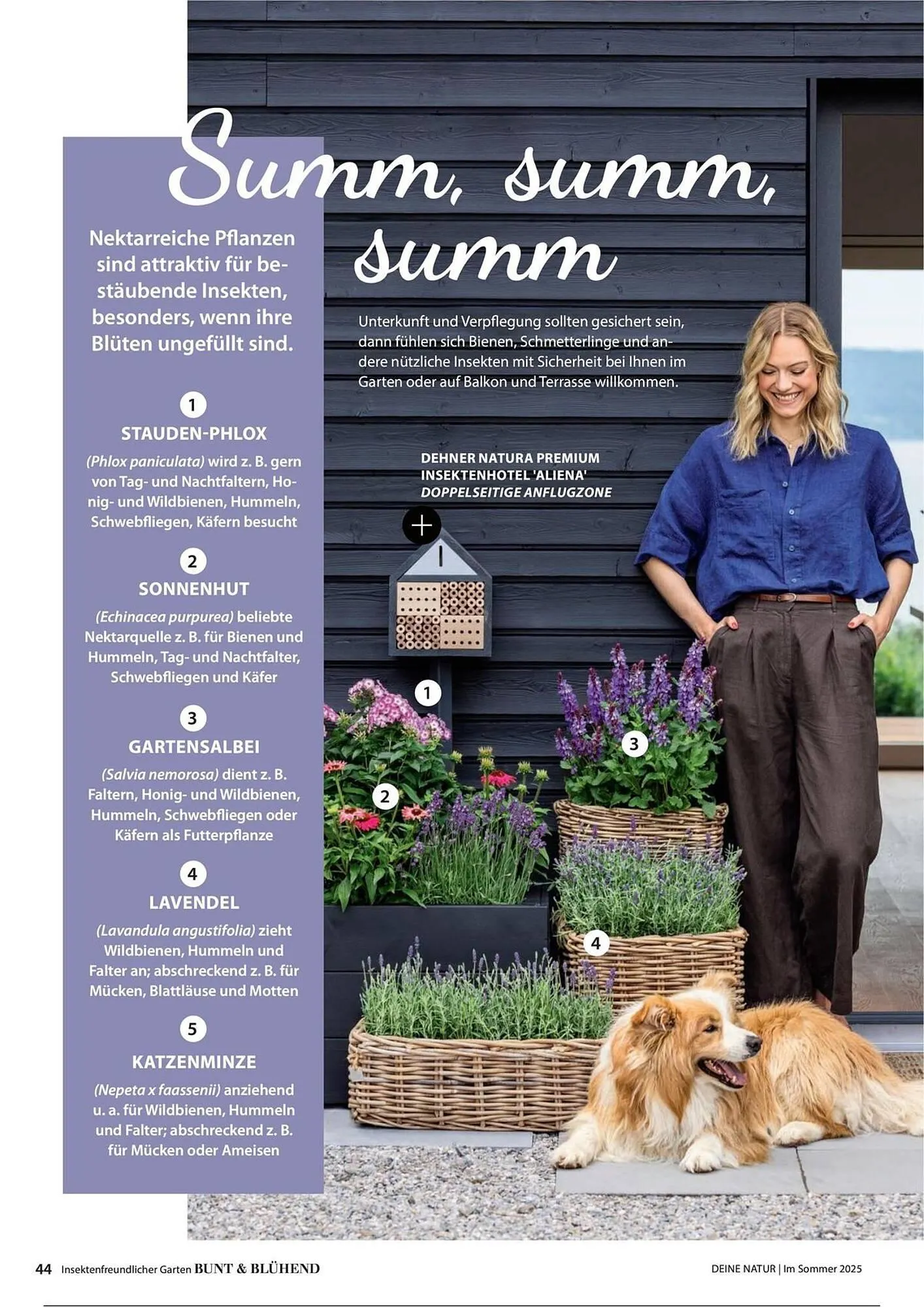 Dehner Prospekt von 1. Juli bis 31. Dezember 2025 - Prospekt seite 44