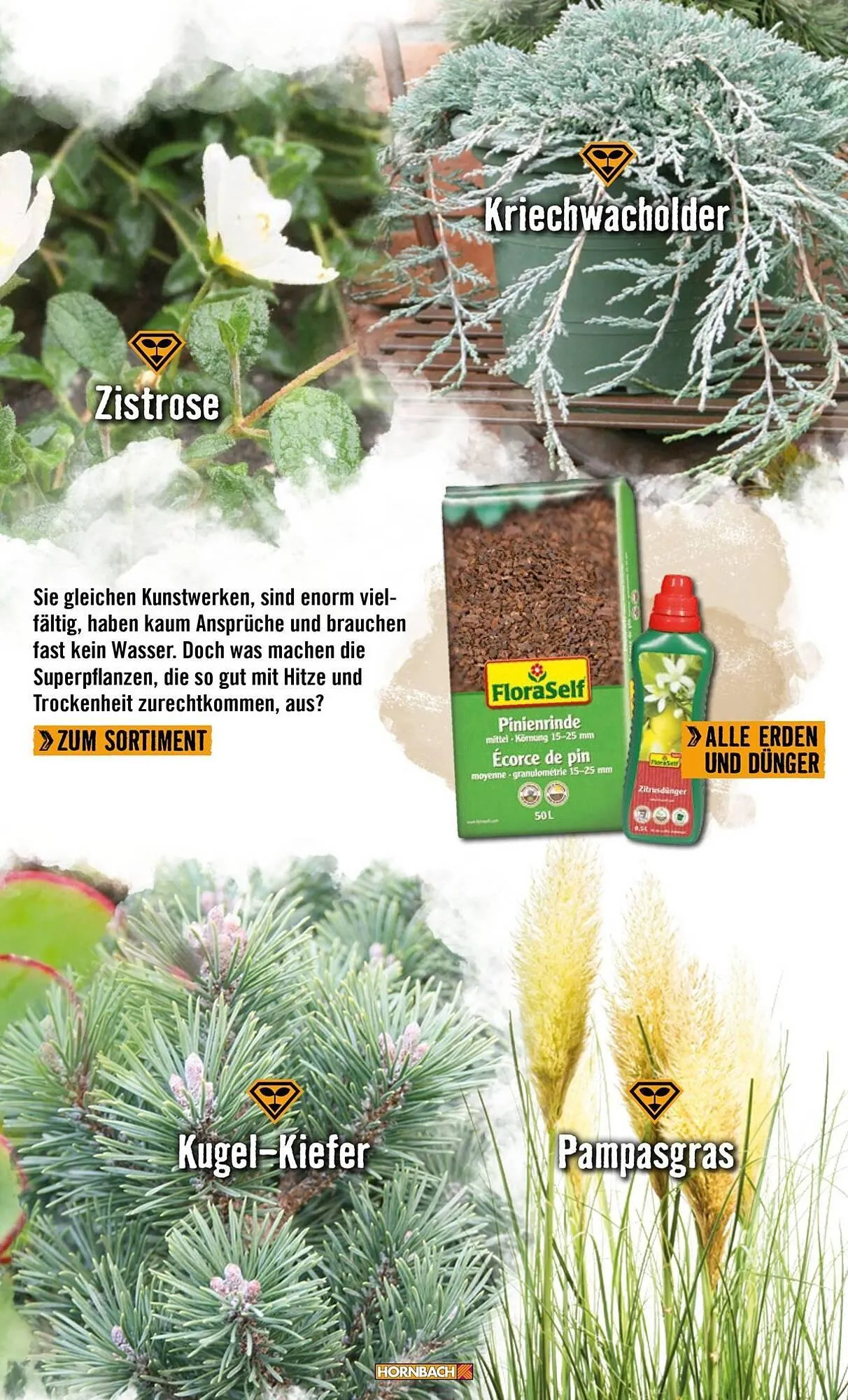 Hornbach Prospekt von 1. April bis 7. April 2025 - Prospekt seite 29