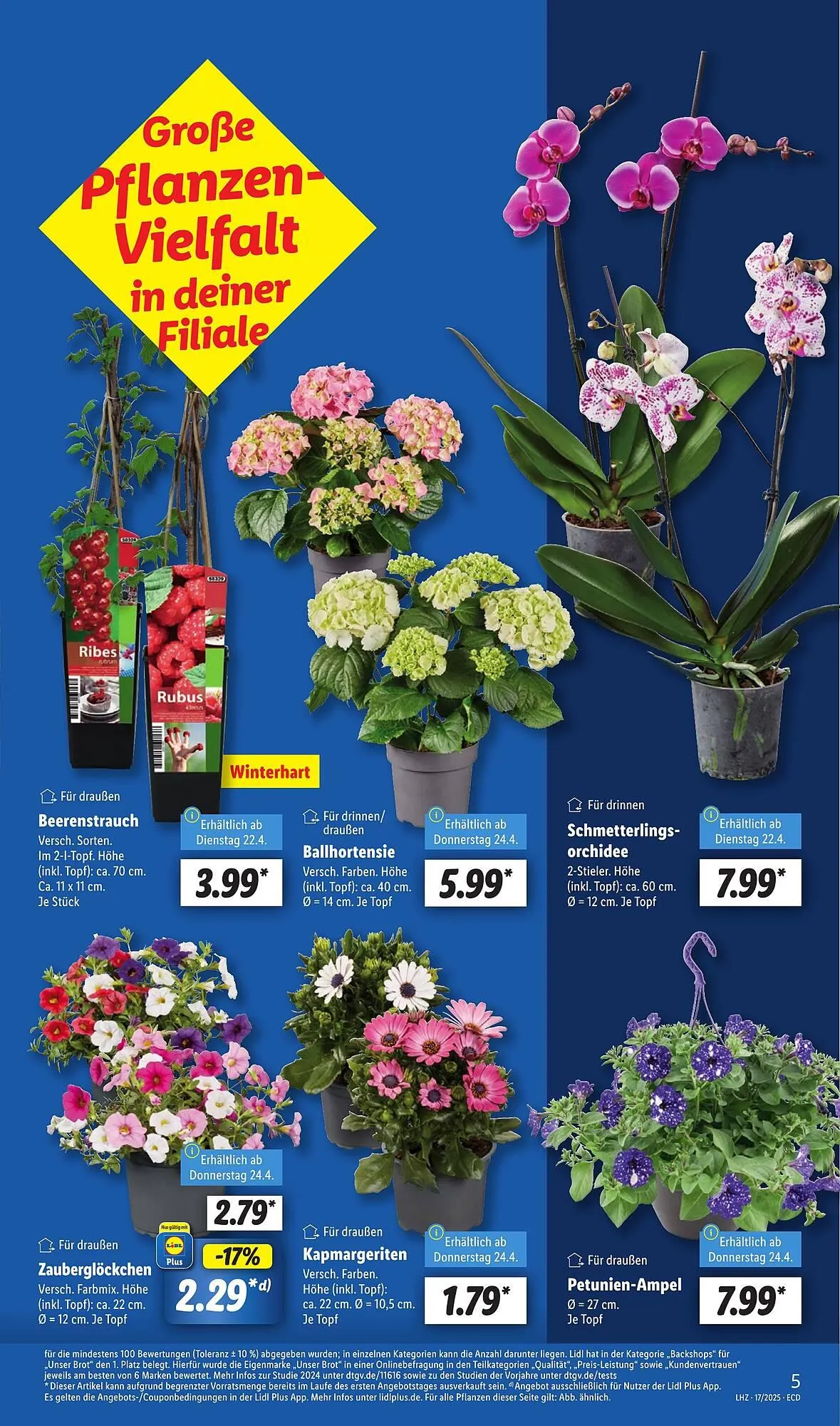 Lidl Prospekt von 22. April bis 26. April 2025 - Prospekt seite 7