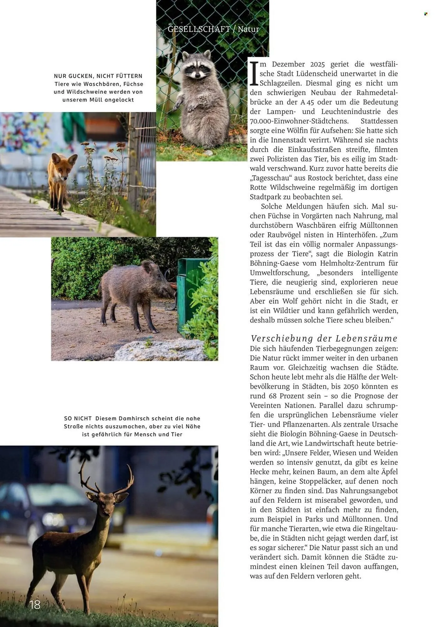 Rossmann Magazin von 1. März bis 31. März 2026 - Prospekt seite 18