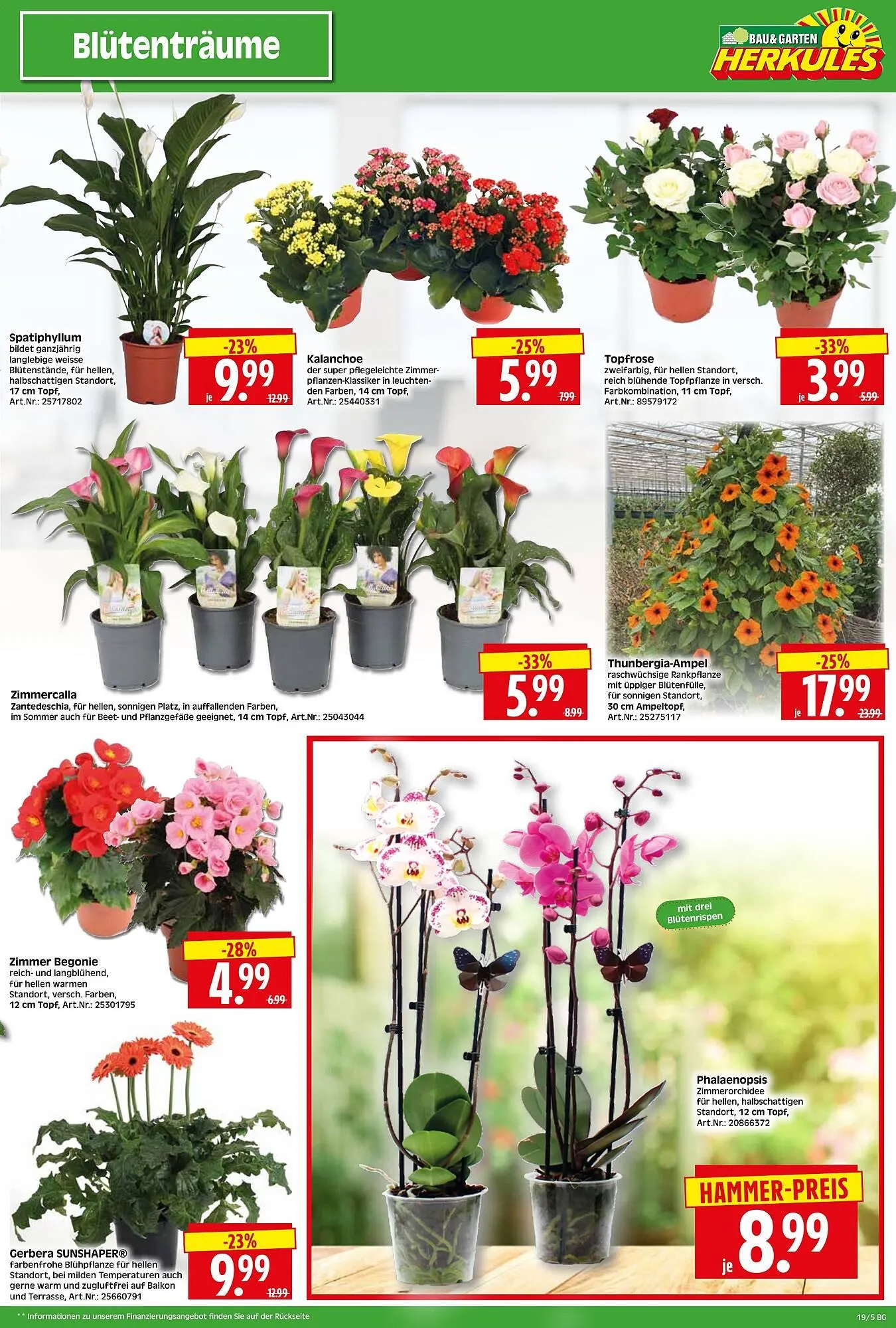 Herkules Baumarkt Prospekt von 5. Mai bis 10. Mai 2025 - Prospekt seite 5