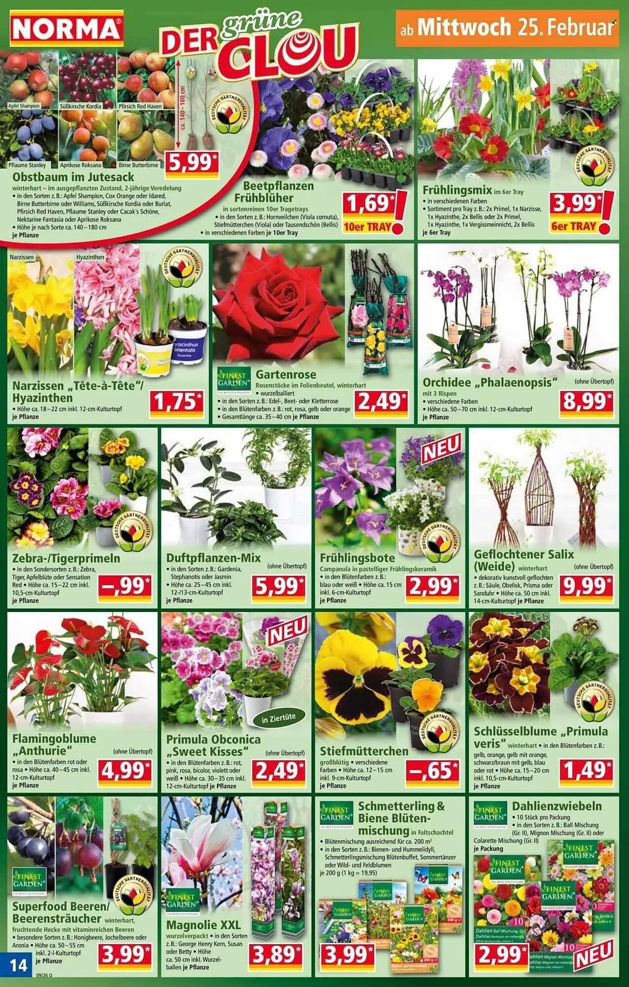 Norma Prospekt von 23. Februar bis 1. März 2026 - Prospekt seite 14