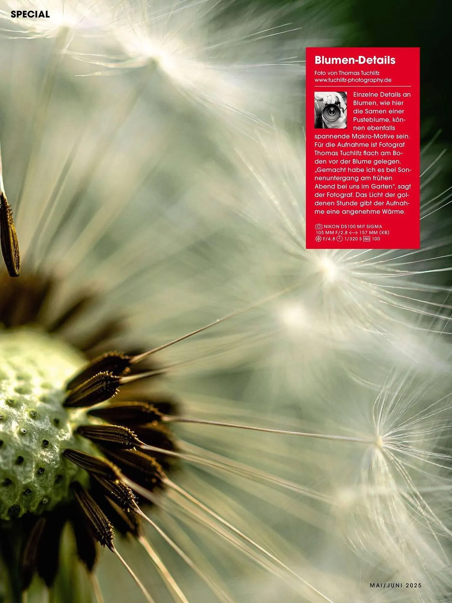 Ringfoto Prospekt von 22. Mai bis 30. Juni 2025 - Prospekt seite 34