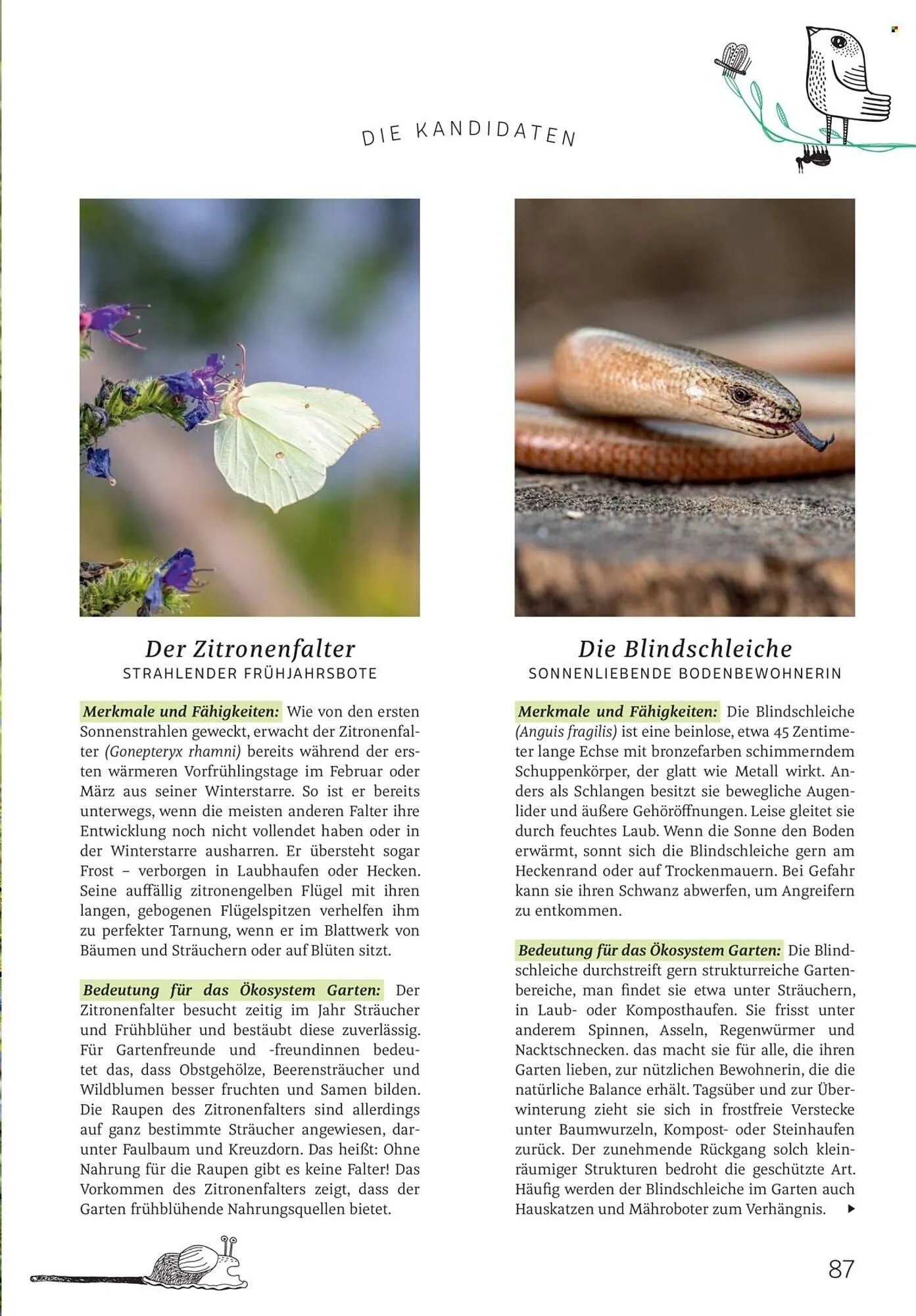 Rossmann Magazin von 1. März bis 31. März 2026 - Prospekt seite 87