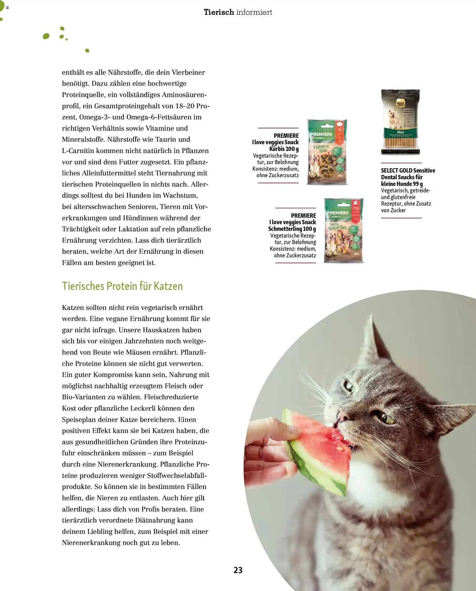 Fressnapf Magazin von 1. Januar bis 28. Februar 2026 - Prospekt seite 23