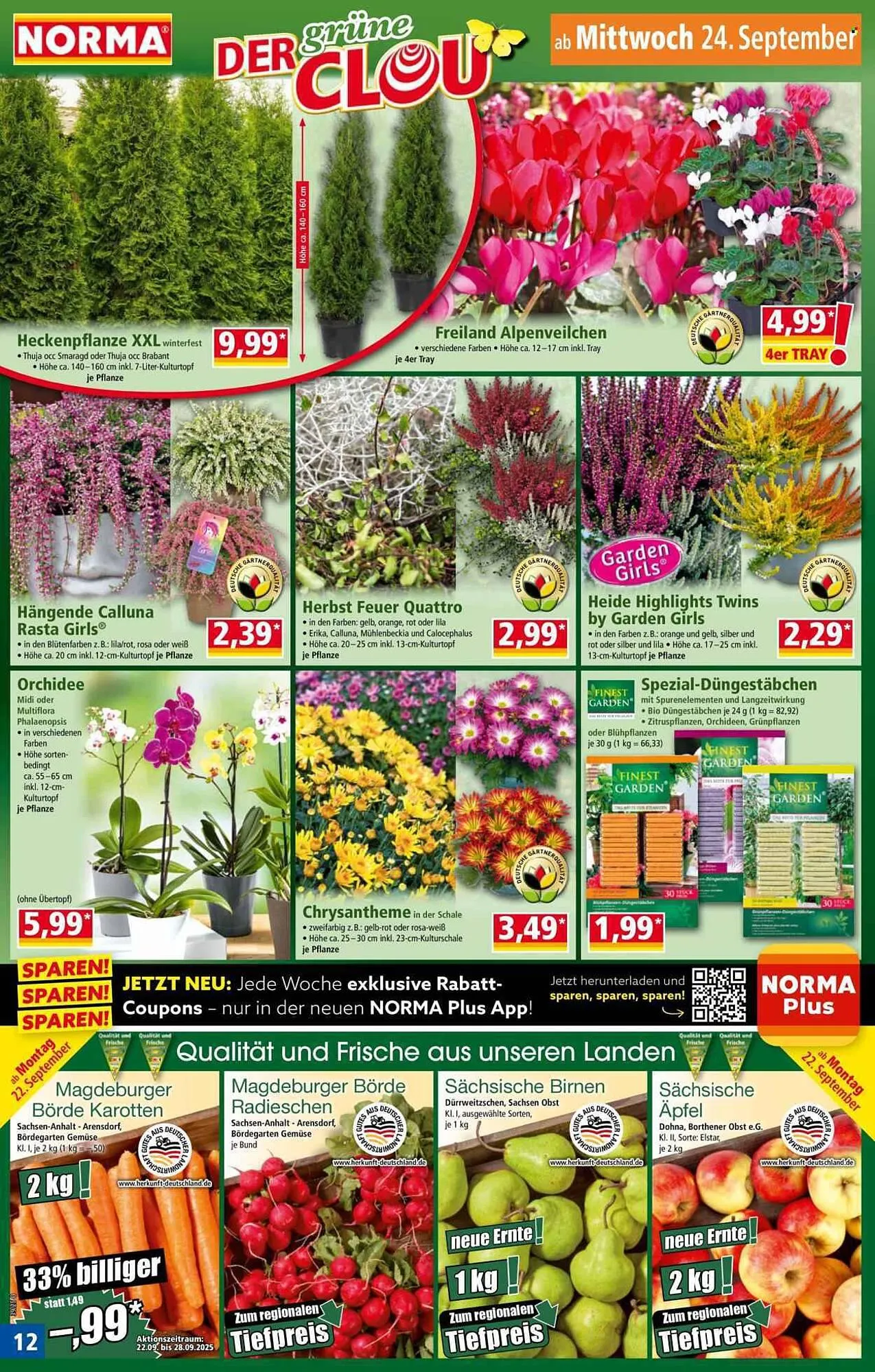 Norma Prospekt von 22. September bis 28. September 2025 - Prospekt seite 13
