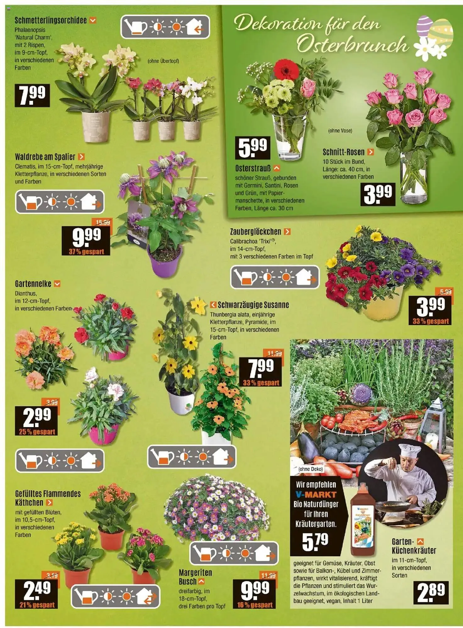 V Baumarkt Prospekt von 17. April bis 23. April 2025 - Prospekt seite 2