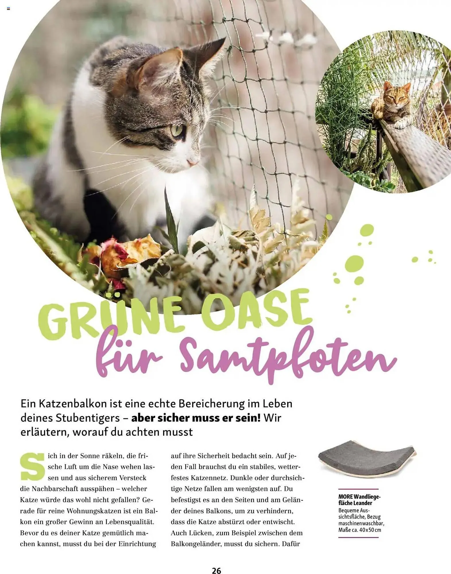 Fressnapf Prospekt von 1. Mai bis 30. Juni 2025 - Prospekt seite 26