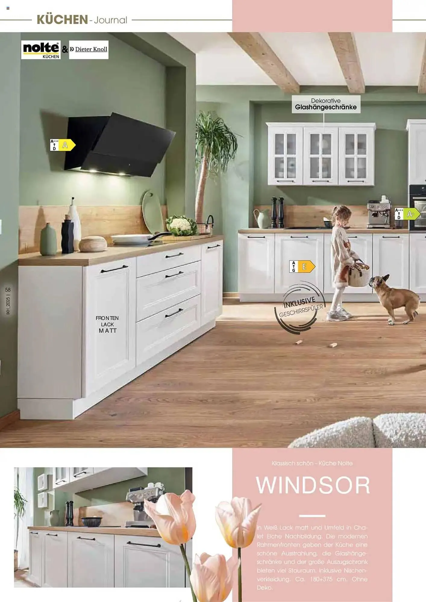 Zurbrüggen Prospekt von 2. Mai bis 31. Dezember 2025 - Prospekt seite 58