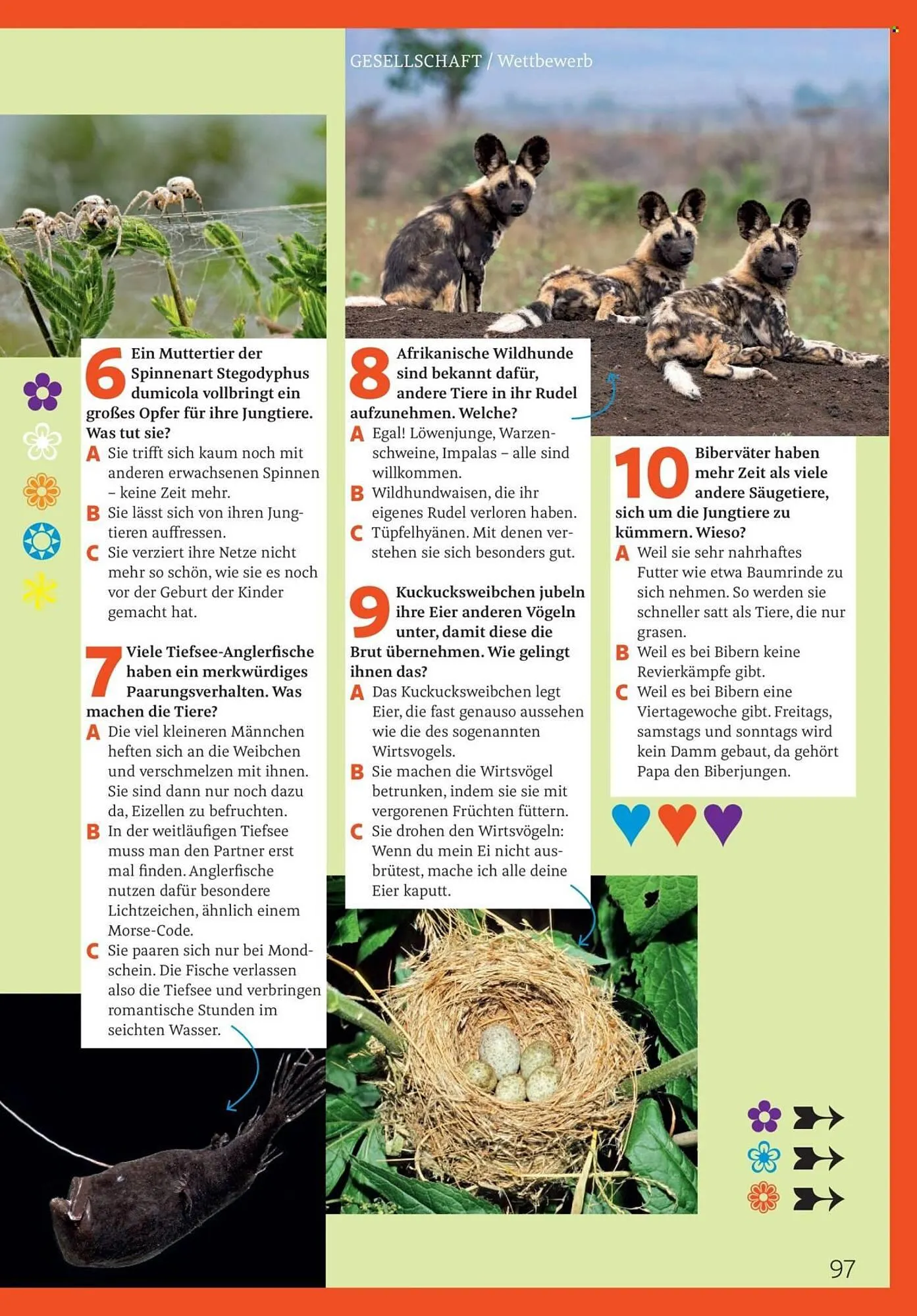 Rossmann Magazin von 1. April bis 30. April 2026 - Prospekt seite 97