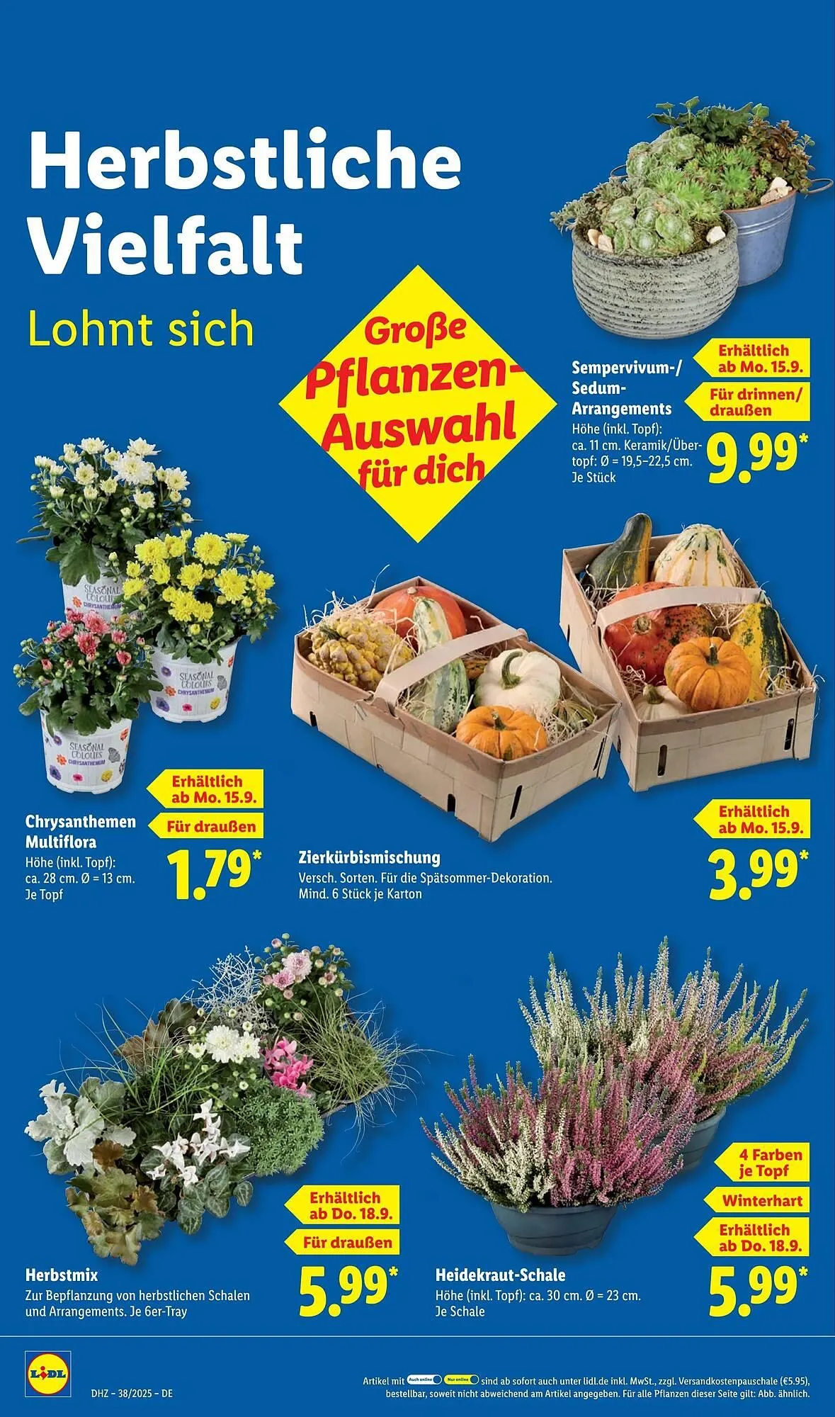 Lidl Prospekt von 15. September bis 21. September 2025 - Prospekt seite 24