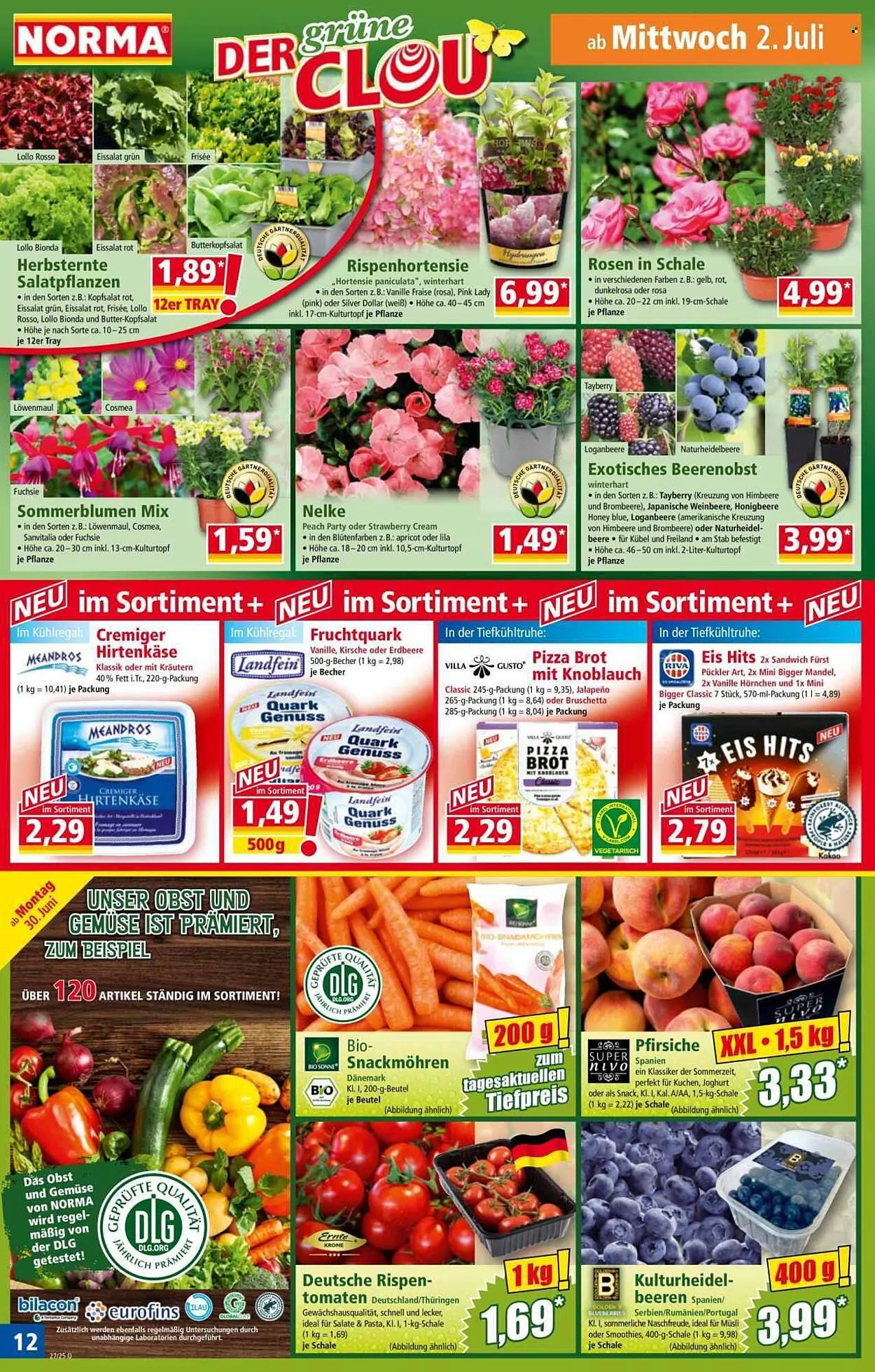 Norma Prospekt von 30. Juni bis 6. Juli 2025 - Prospekt seite 13