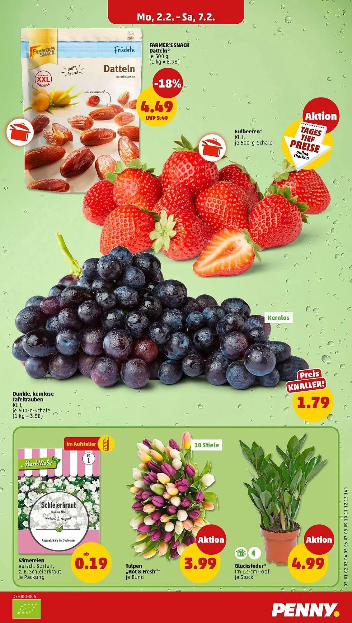 PENNY Prospekt von 2. Februar bis 7. Februar 2026 - Prospekt seite 7