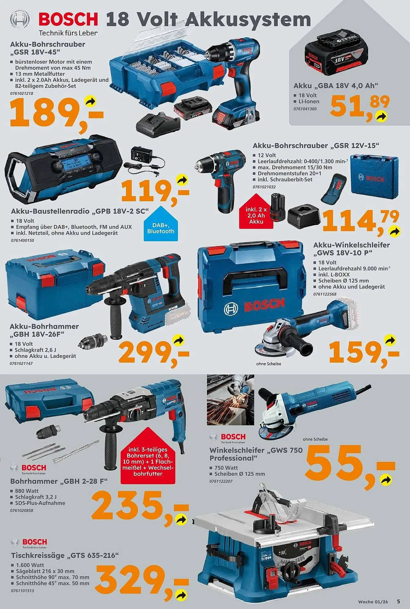 Globus Baumarkt Prospekt von 29. Dezember bis 3. Januar 2026 - Prospekt seite 5
