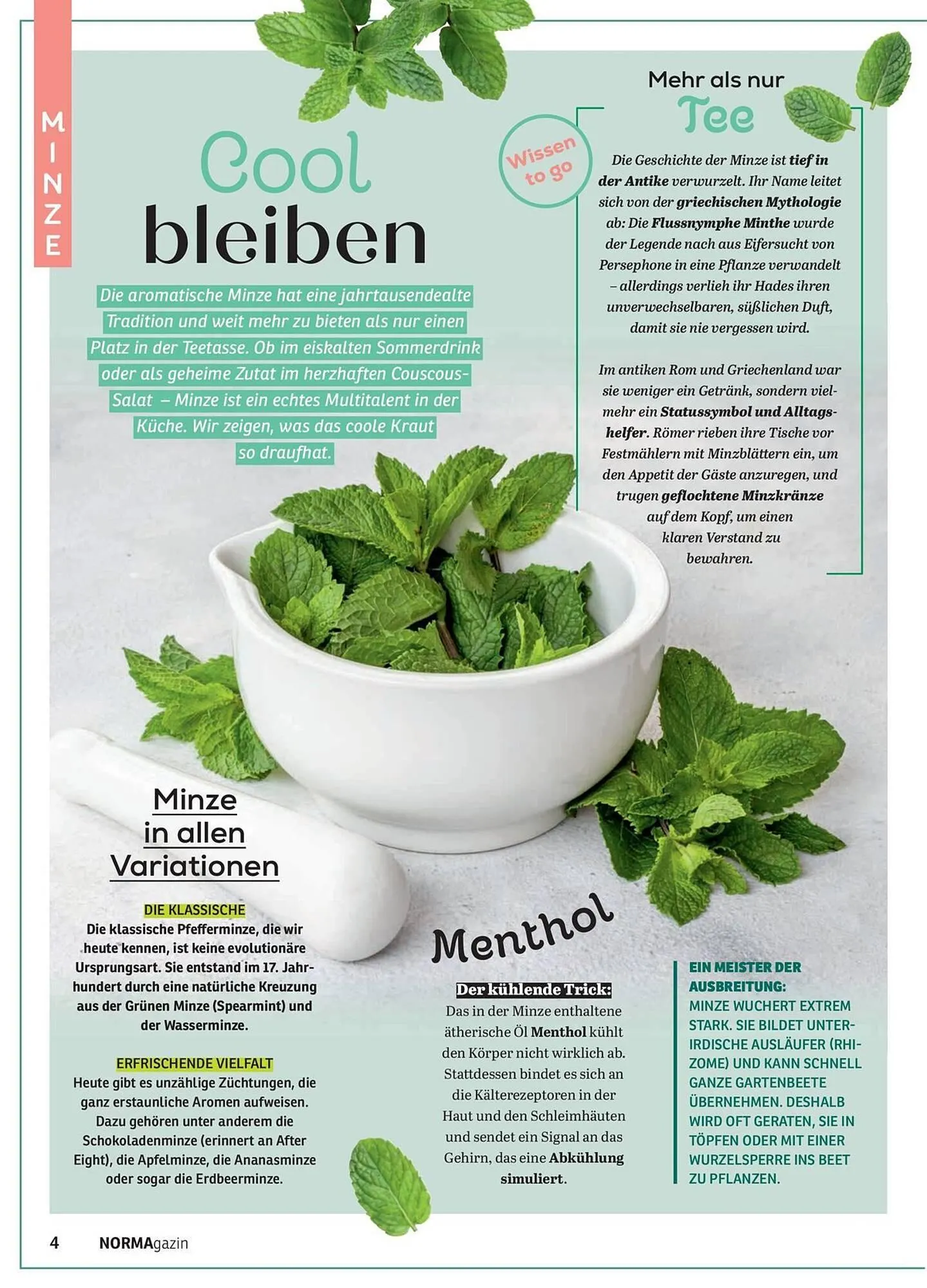 Norma Magazin von 1. Mai bis 30. Juni 2026 - Prospekt seite 4