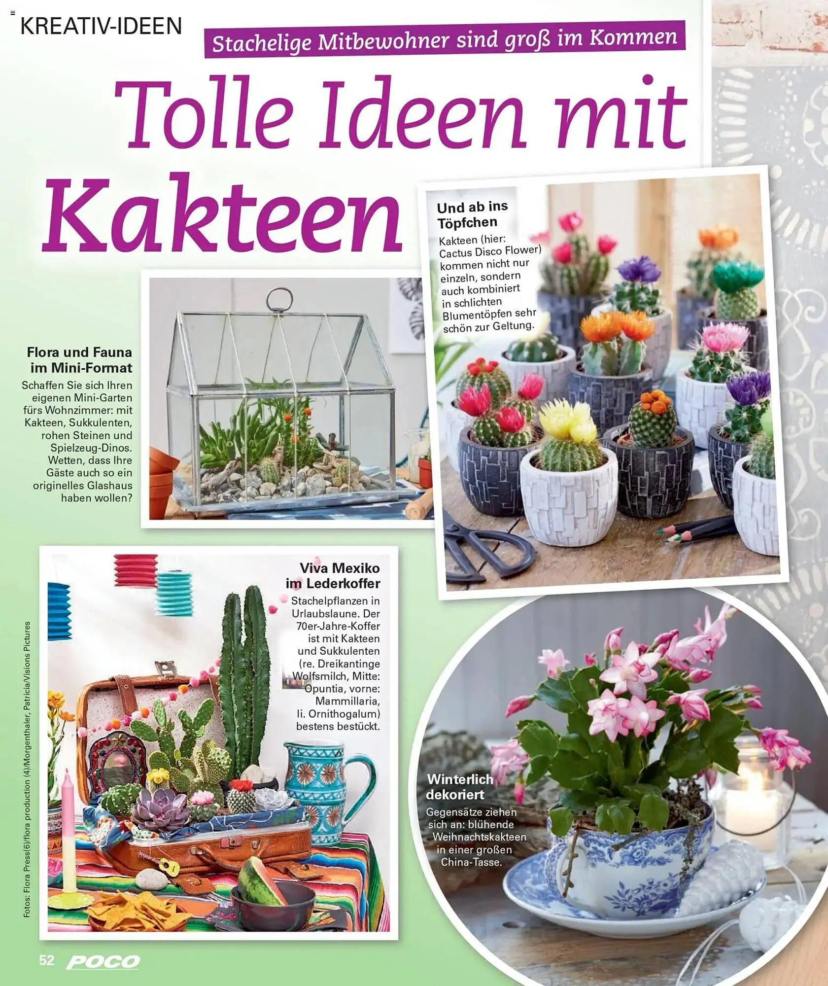 Poco Magazin von 1. Dezember bis 28. Februar 2026 - Prospekt seite 52