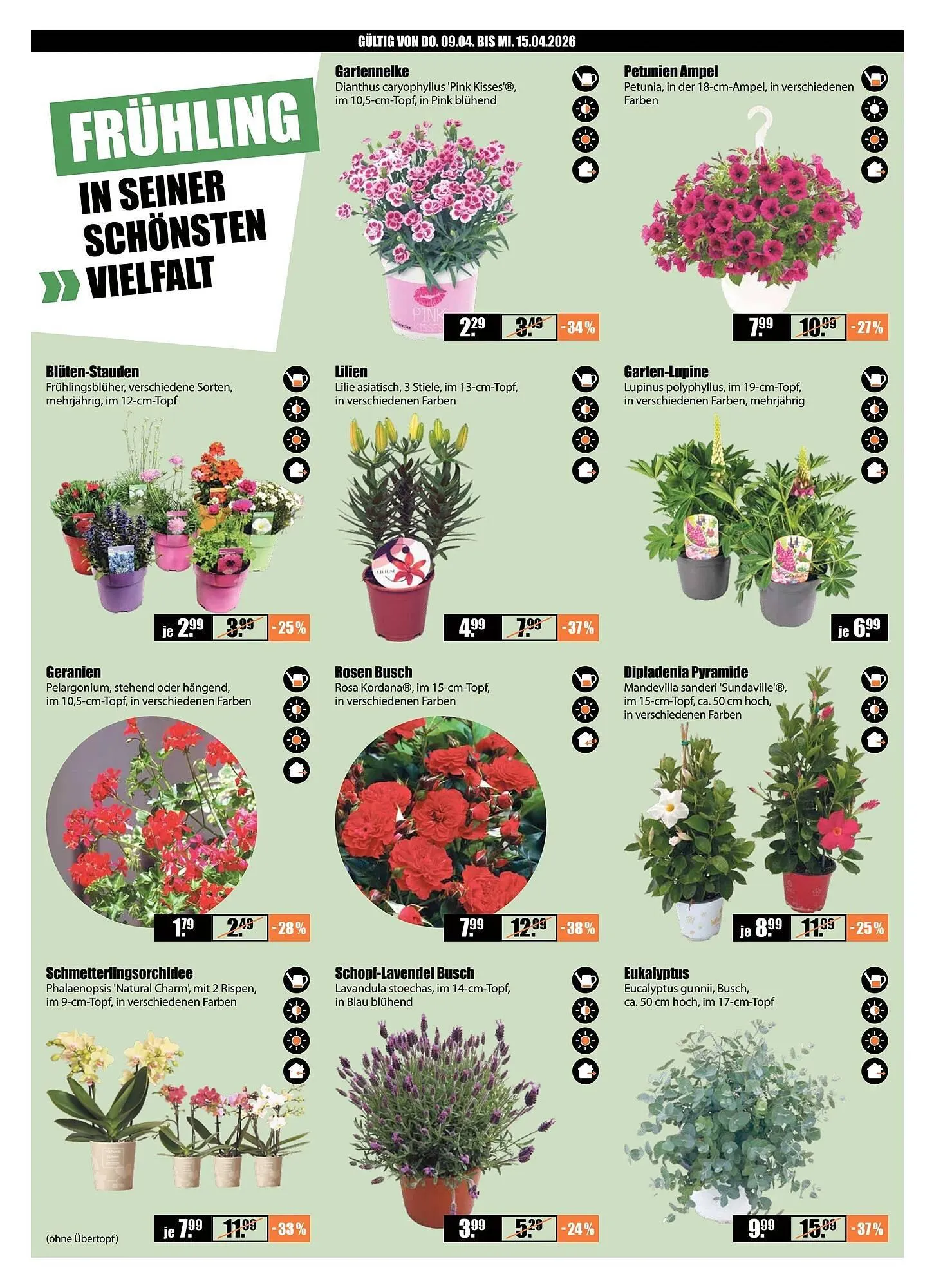 V Baumarkt Prospekt von 9. April bis 15. April 2026 - Prospekt seite 2