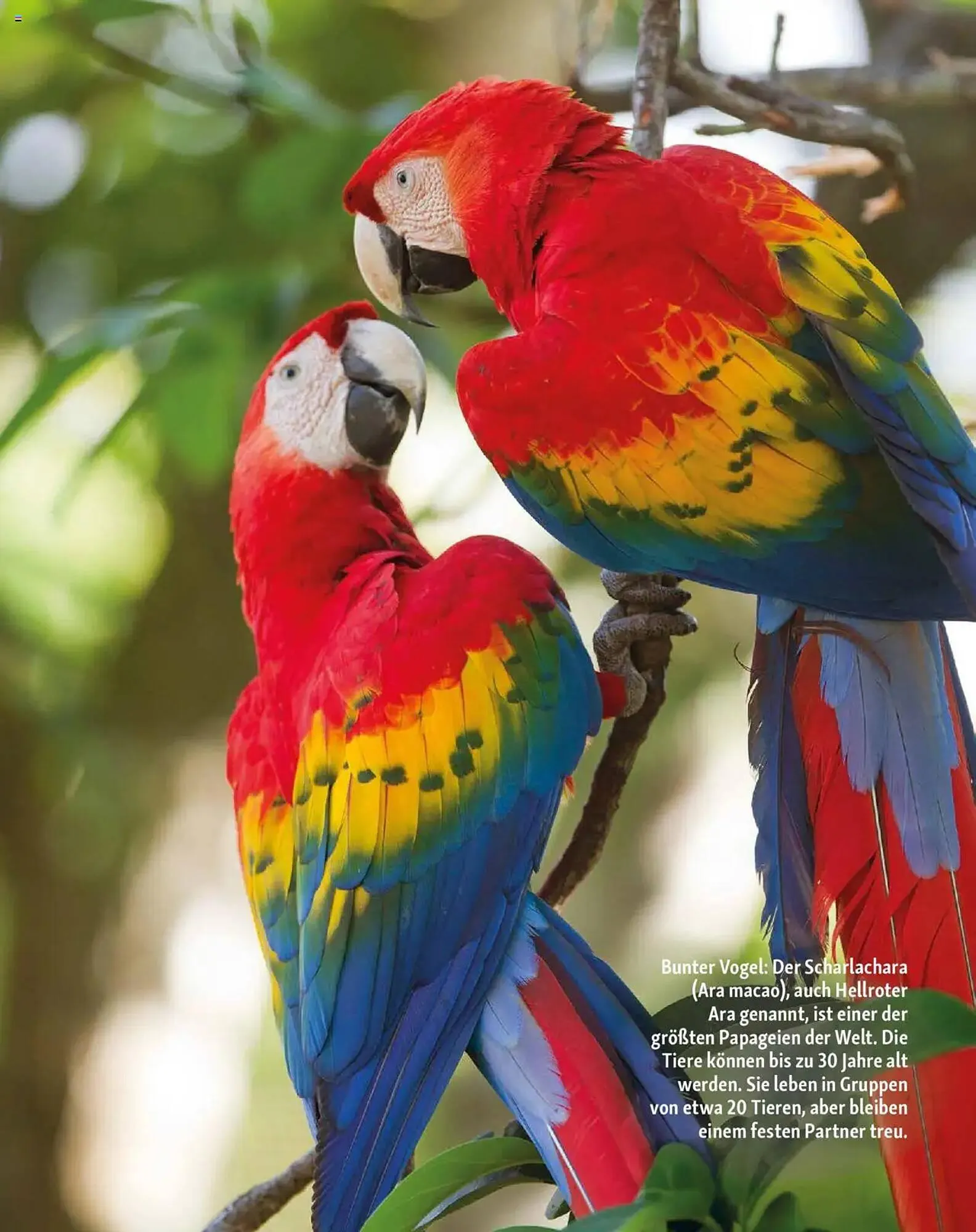 Fressnapf Prospekt von 1. Juli bis 31. August 2025 - Prospekt seite 13