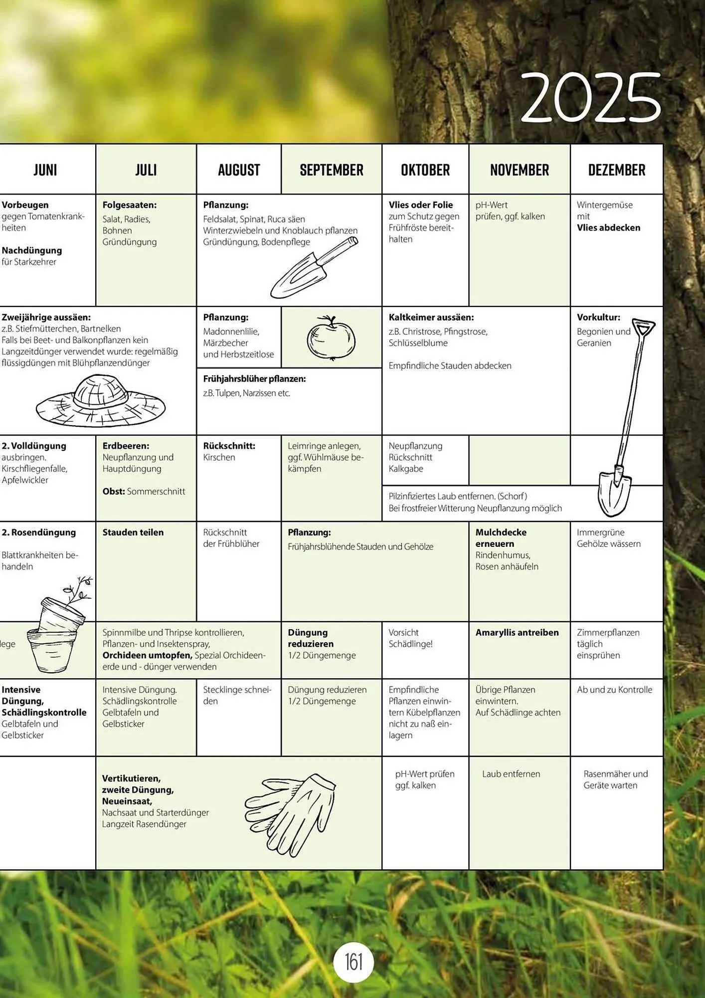 Kiebitzmarkt Prospekt von 16. April bis 31. August 2025 - Prospekt seite 161