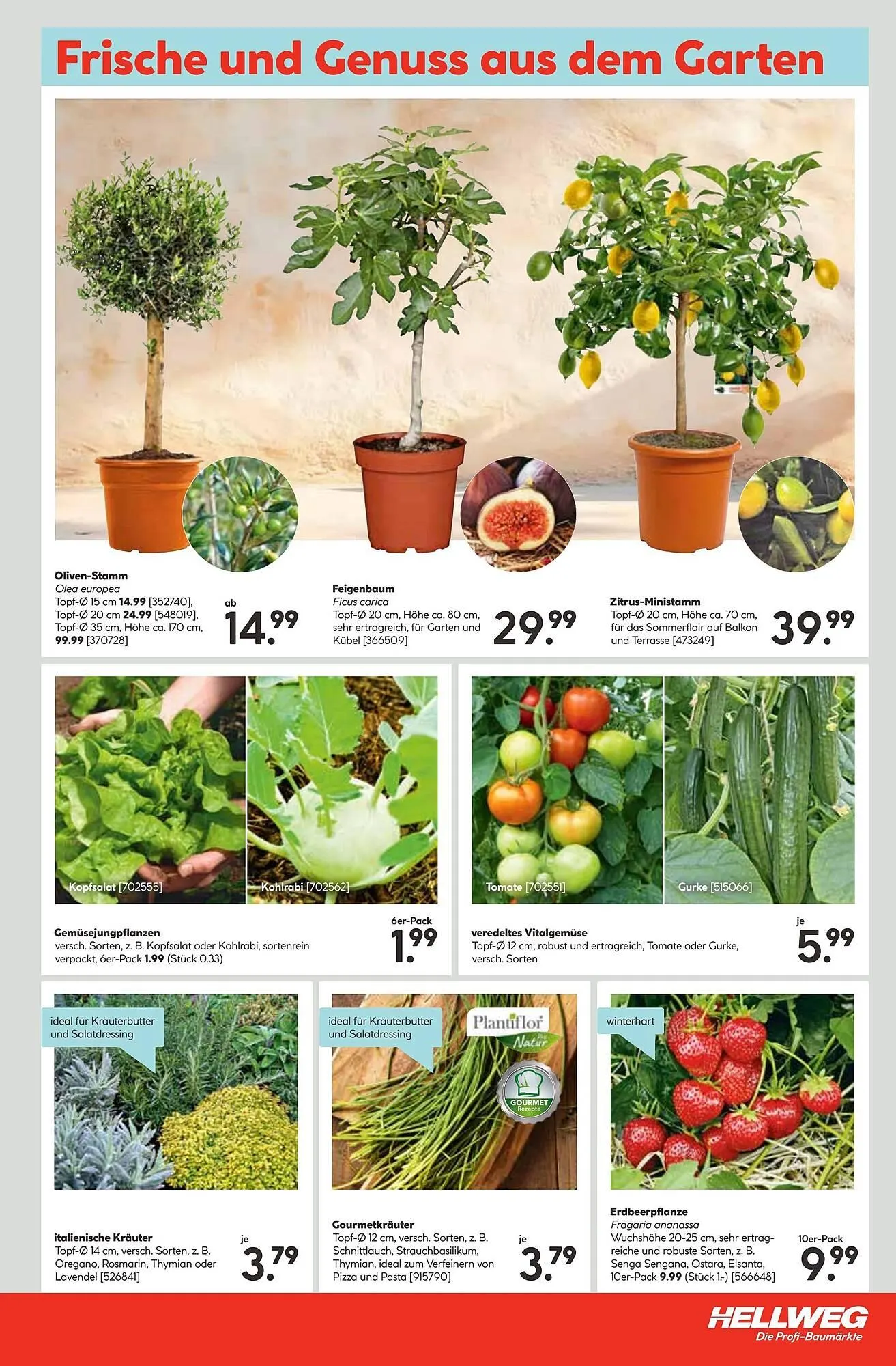 Hellweg Prospekt von 24. März bis 30. März 2025 - Prospekt seite 29