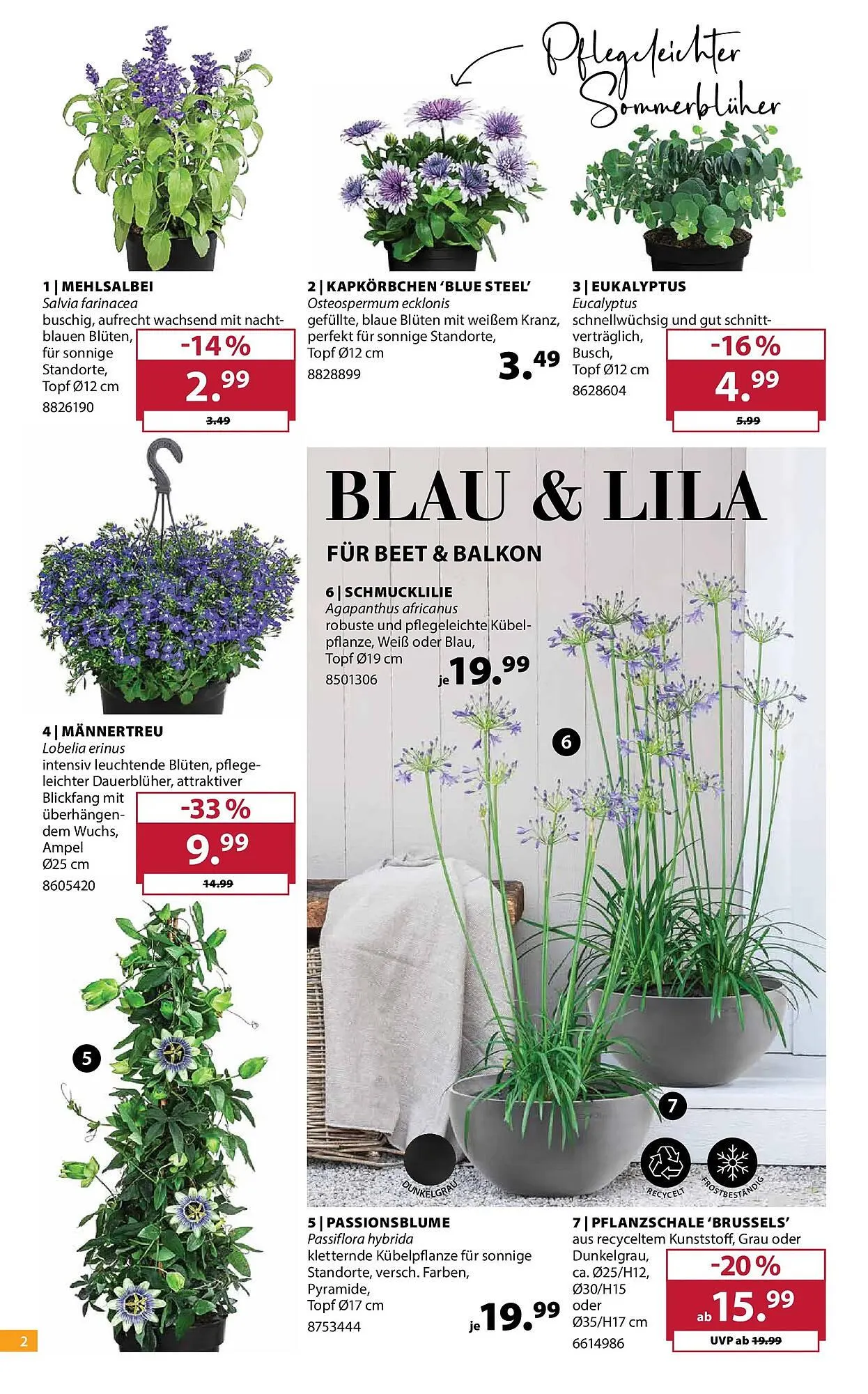 Dehner Prospekt von 21. April bis 27. April 2026 - Prospekt seite 2