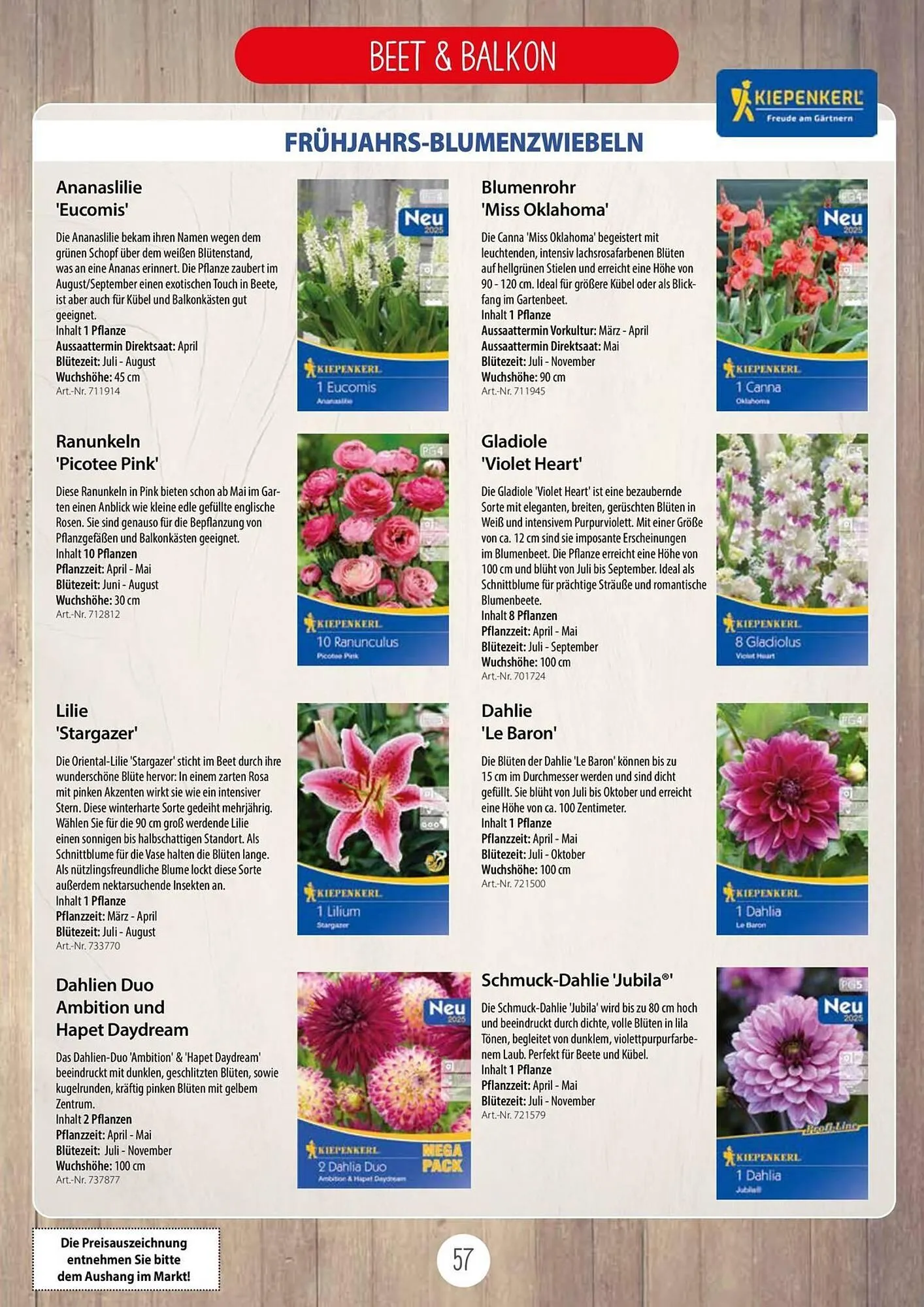 Kiebitzmarkt Prospekt von 16. April bis 31. August 2025 - Prospekt seite 57