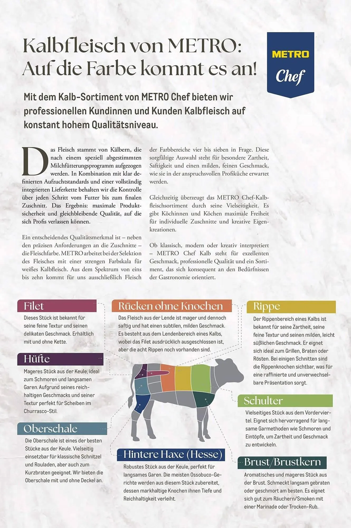 METRO Prospekt von 1. Februar bis 28. Februar 2026 - Prospekt seite 67