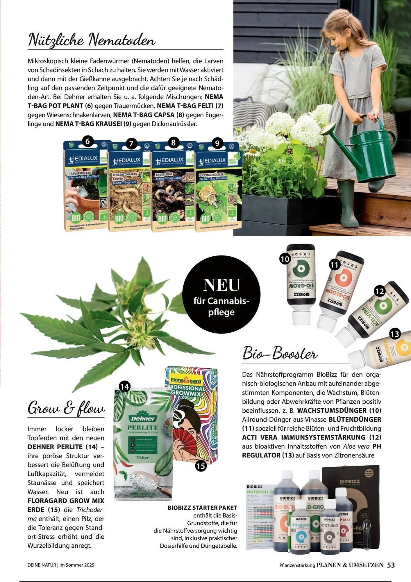 Dehner Prospekt von 1. Juli bis 31. Dezember 2025 - Prospekt seite 53