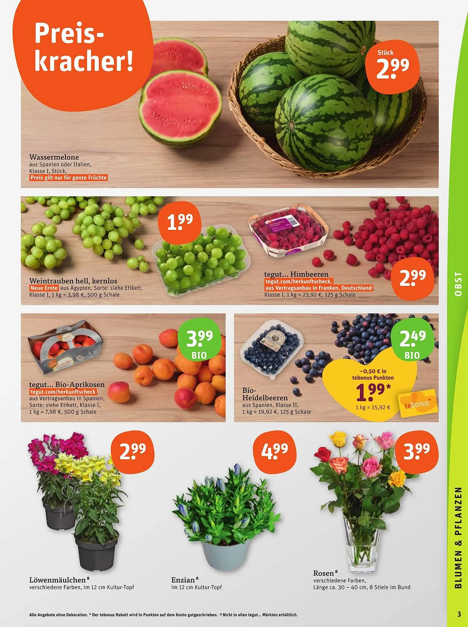 basic Prospekt von 12. Juni bis 14. Juni 2025 - Prospekt seite 5