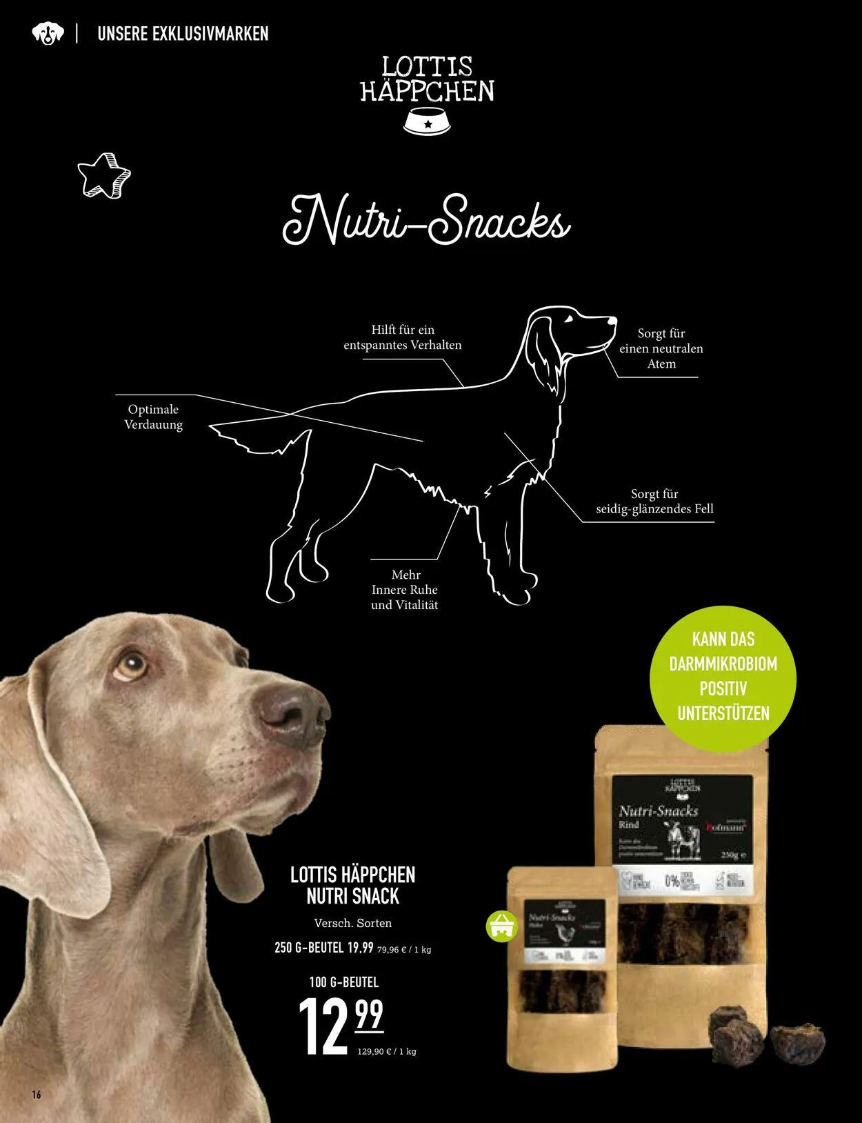 Kölle Zoo Aktueller Prospekt von 30. Juli bis 13. August 2025 - Prospekt seite 16