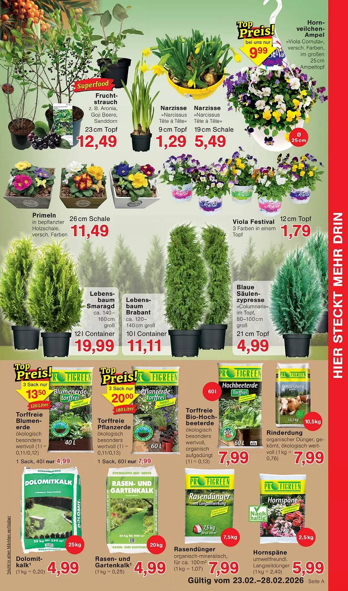 Wiglo Wunderland Prospekt von 23. Februar bis 28. Februar 2026 - Prospekt seite 5