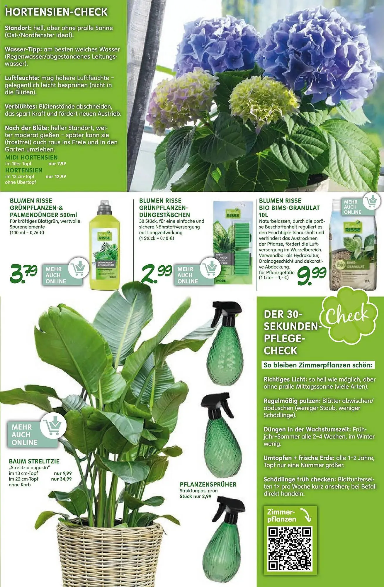 Blumen Risse Prospekt von 12. März bis 22. März 2026 - Prospekt seite 13