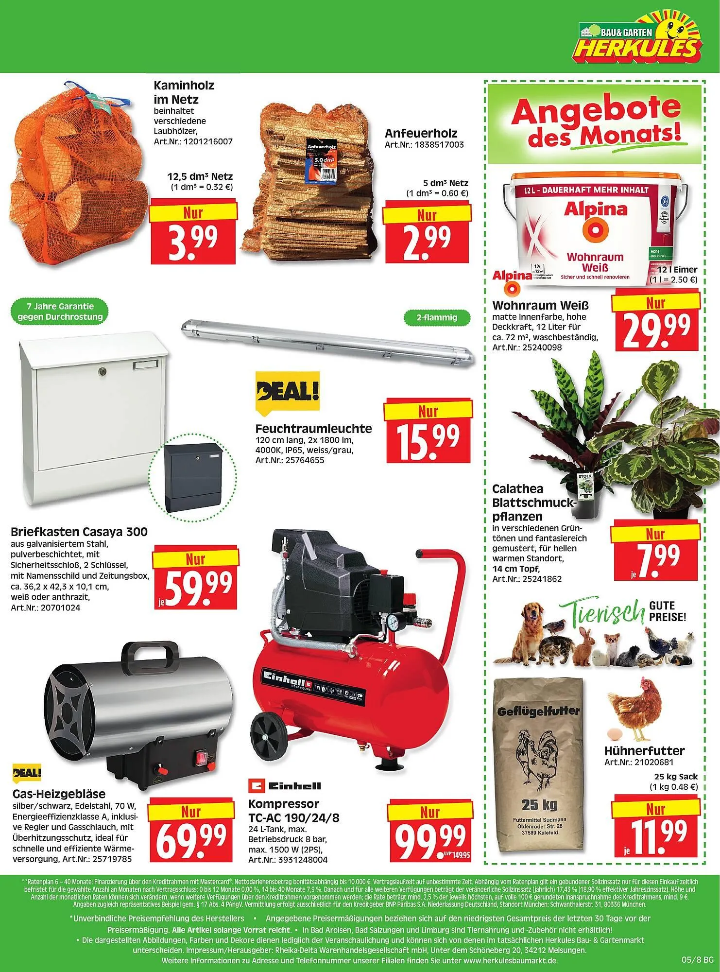Herkules Baumarkt Prospekt von 26. Januar bis 31. Januar 2026 - Prospekt seite 8