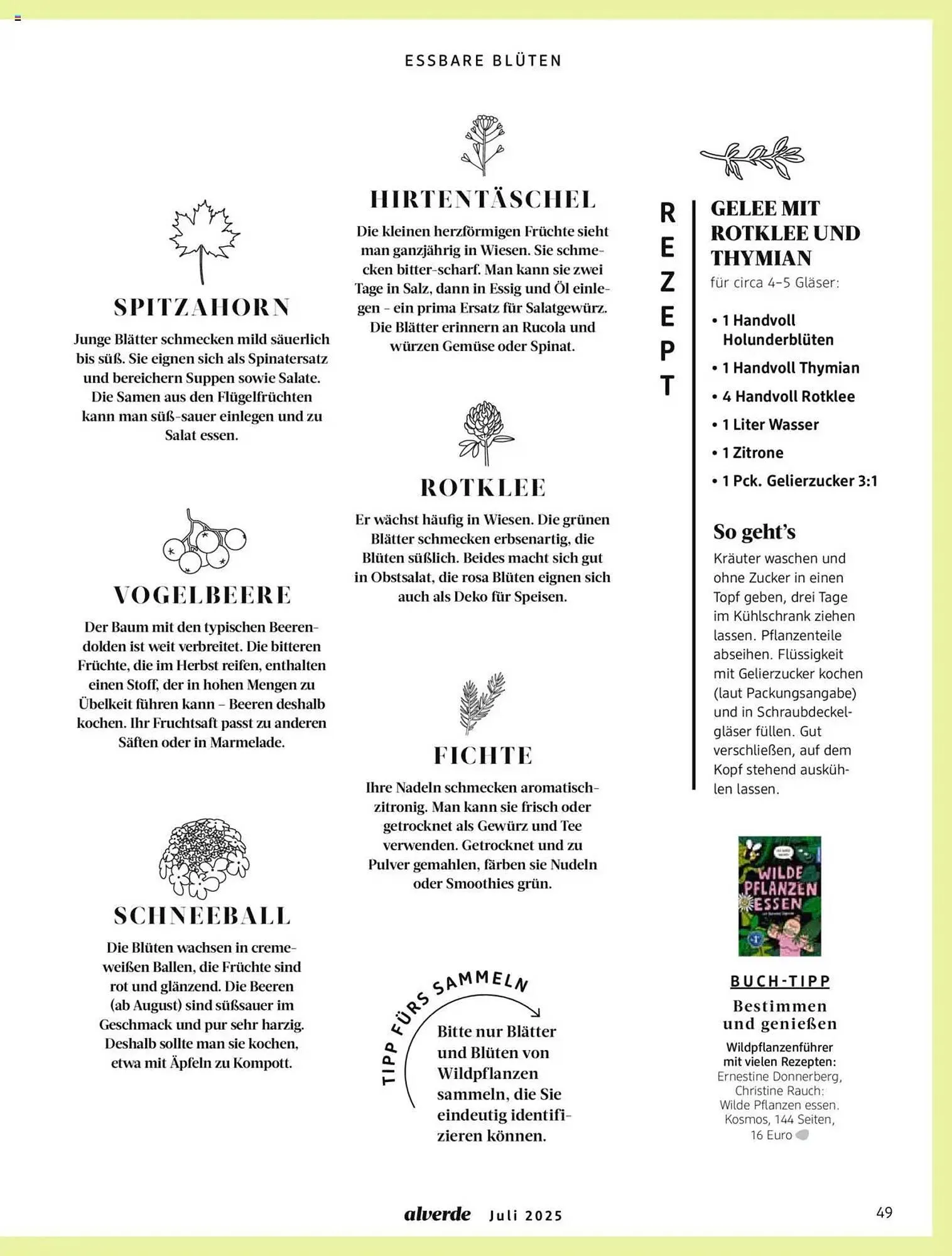 dm drogerie Prospekt von 1. Juli bis 31. Juli 2025 - Prospekt seite 49