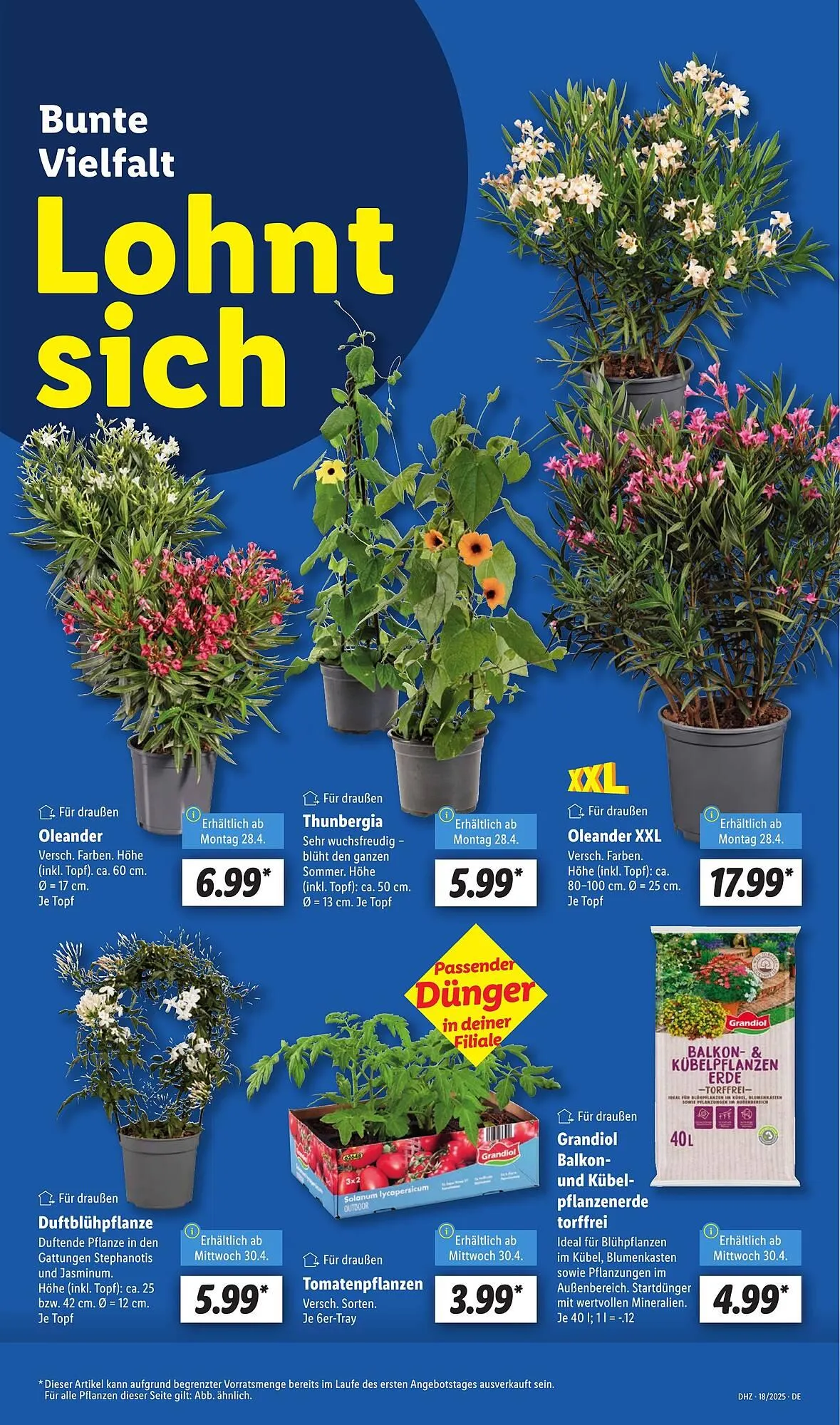 Lidl Prospekt von 5. Mai bis 10. Mai 2025 - Prospekt seite 5