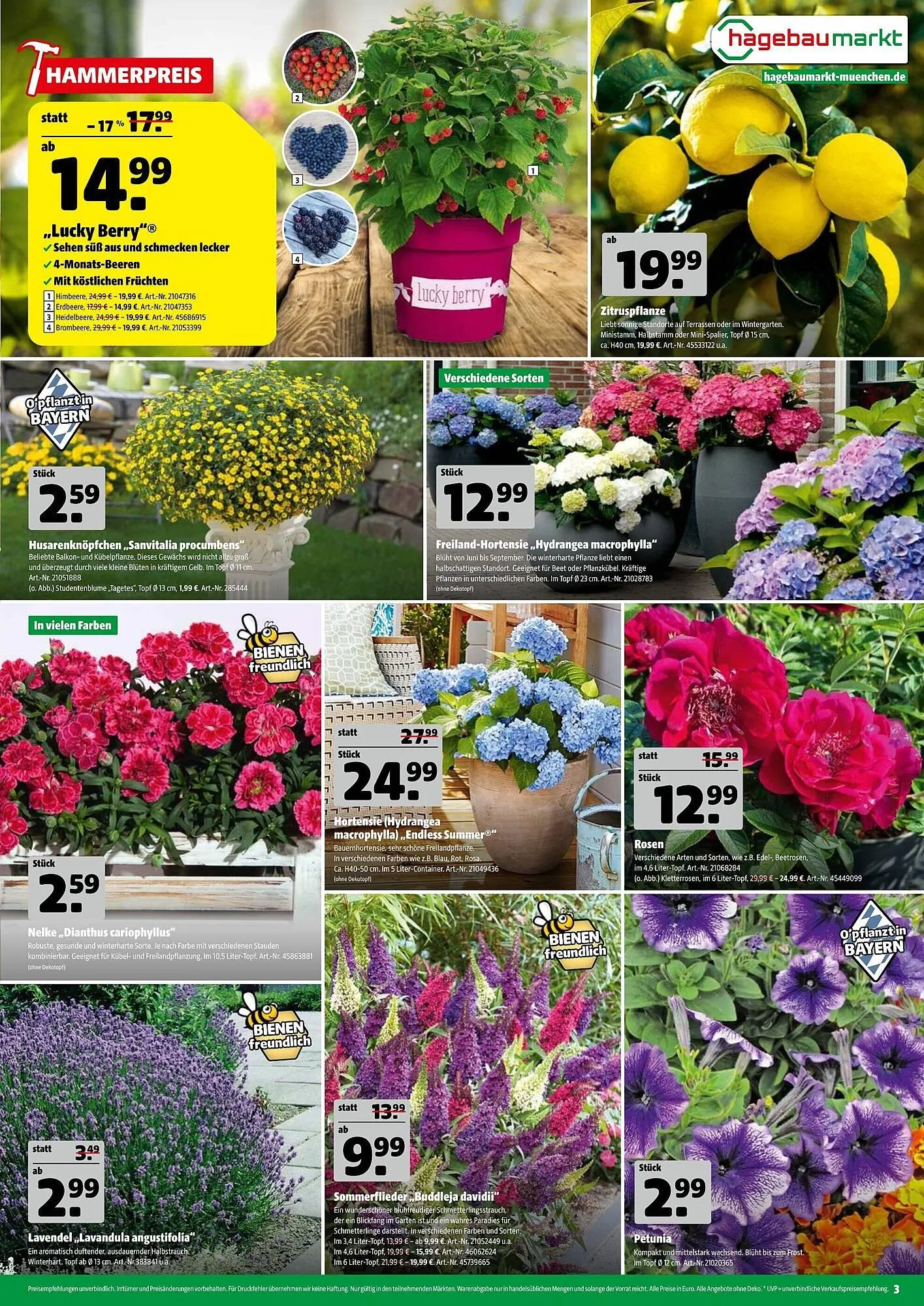 Hagebau Prospekt von 4. Juni bis 13. Juni 2025 - Prospekt seite 3