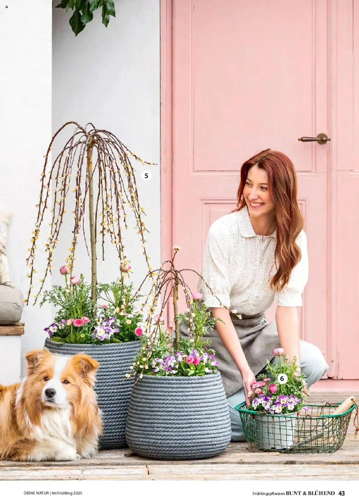 Dehner Prospekt von 6. März bis 9. Juni 2025 - Prospekt seite 43