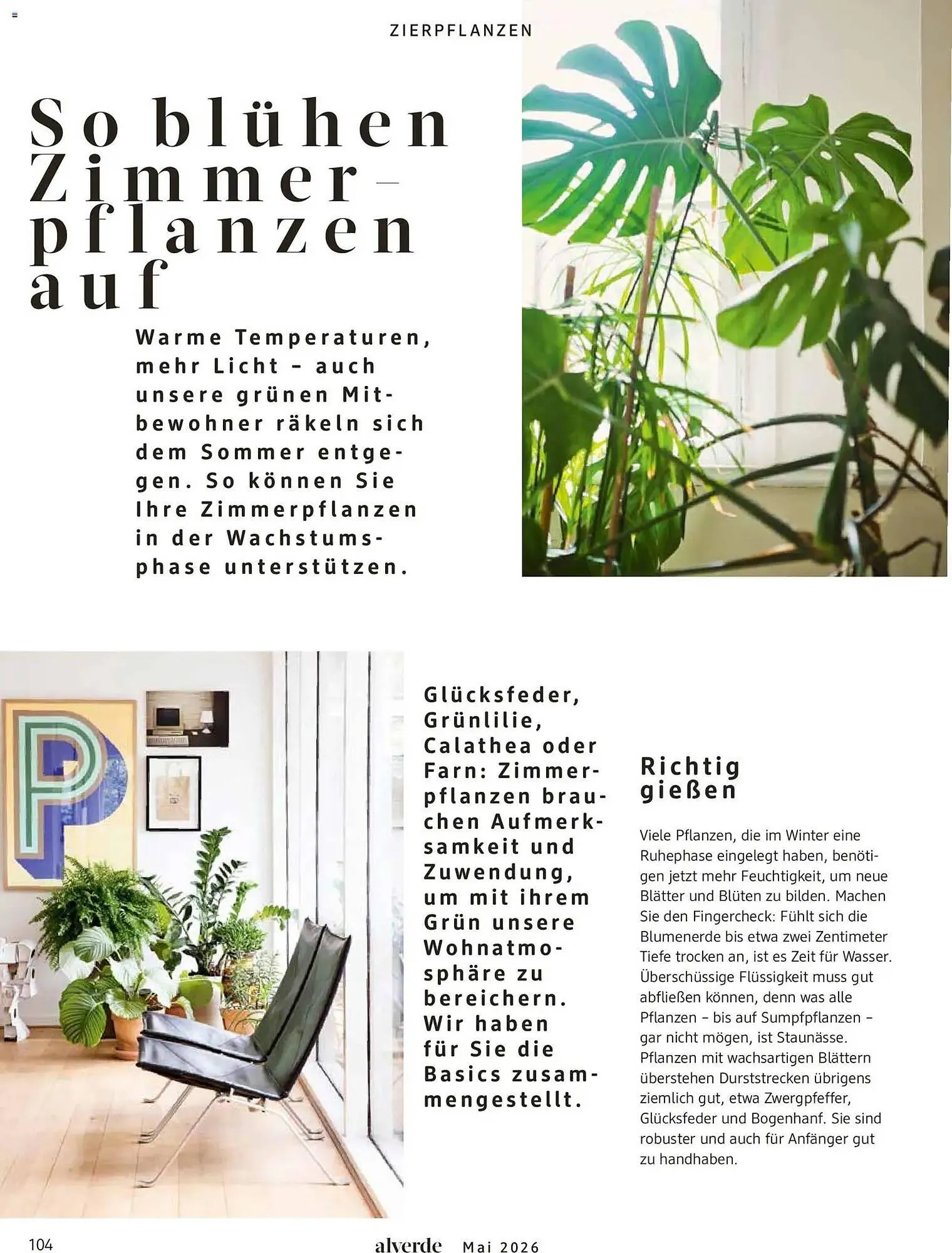 Dm drogerie Magazin von 1. Mai bis 31. Mai 2026 - Prospekt seite 104