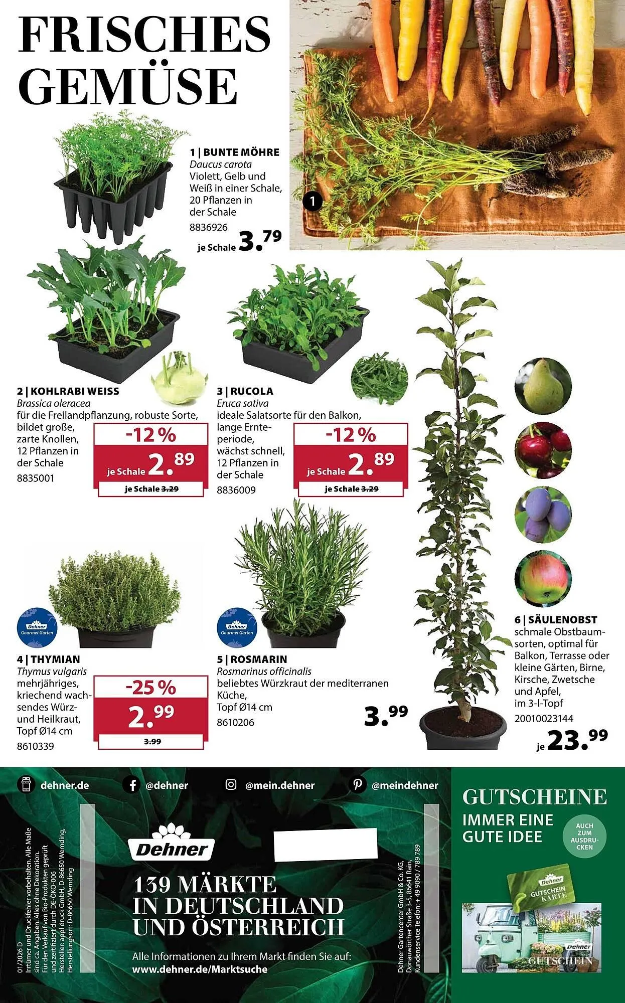 Dehner Prospekt von 11. März bis 16. März 2026 - Prospekt seite 16