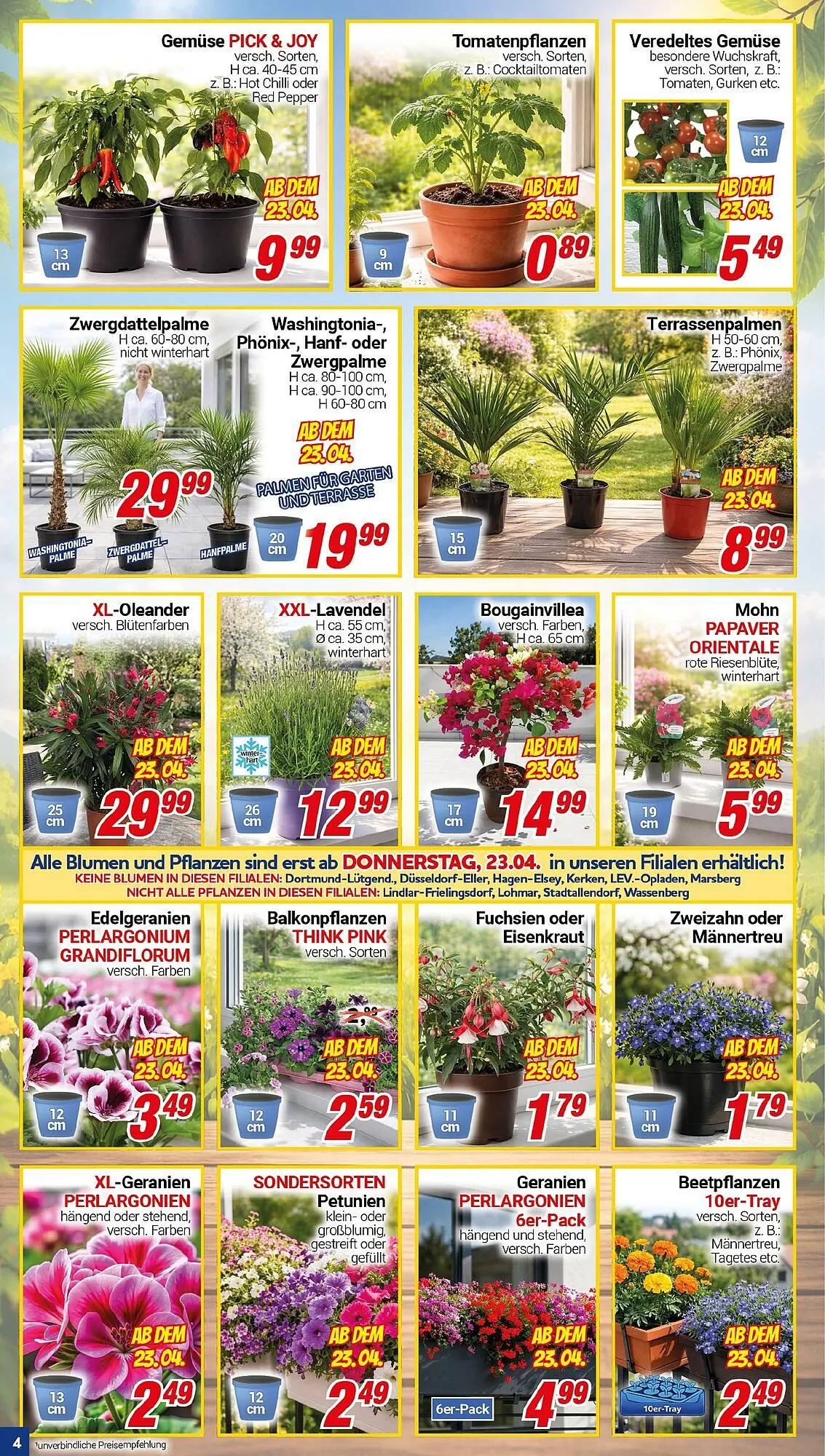 CENTERSHOP Prospekt von 20. April bis 25. April 2026 - Prospekt seite 4