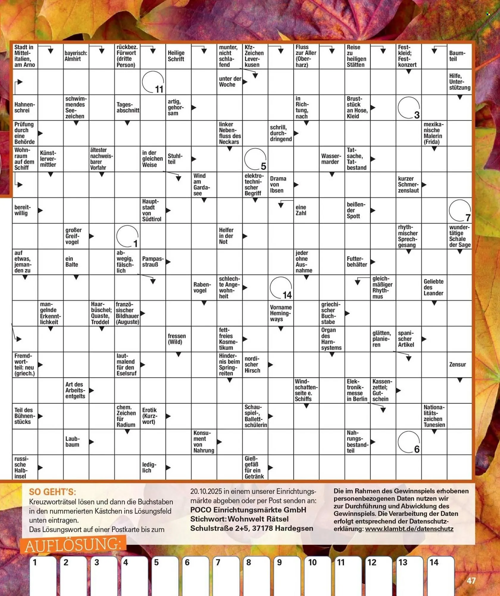 Poco Magazin von 1. September bis 30. November 2025 - Prospekt seite 47