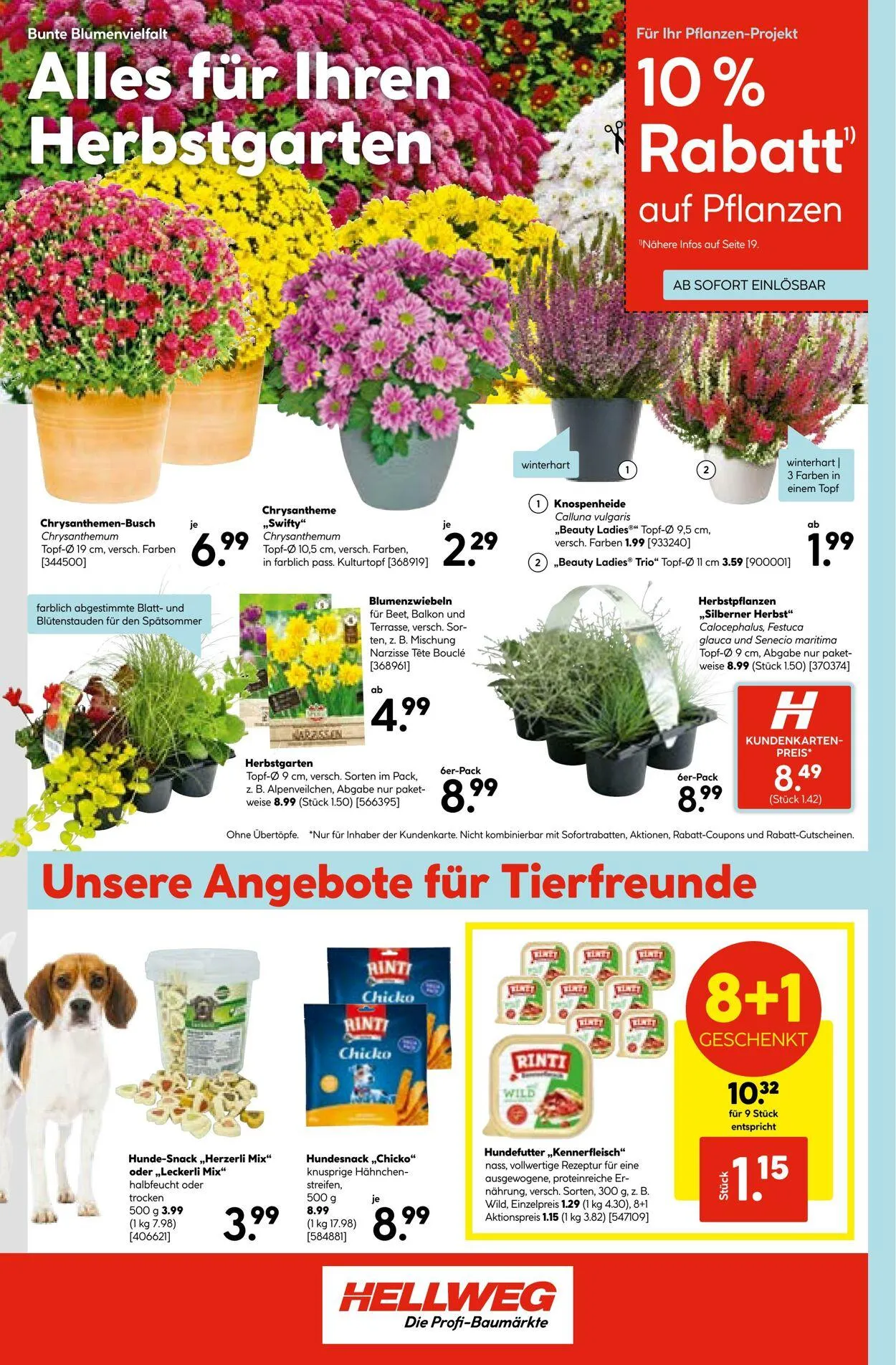 Hellweg Aktueller Prospekt von 13. Oktober bis 27. Oktober 2025 - Prospekt seite 22