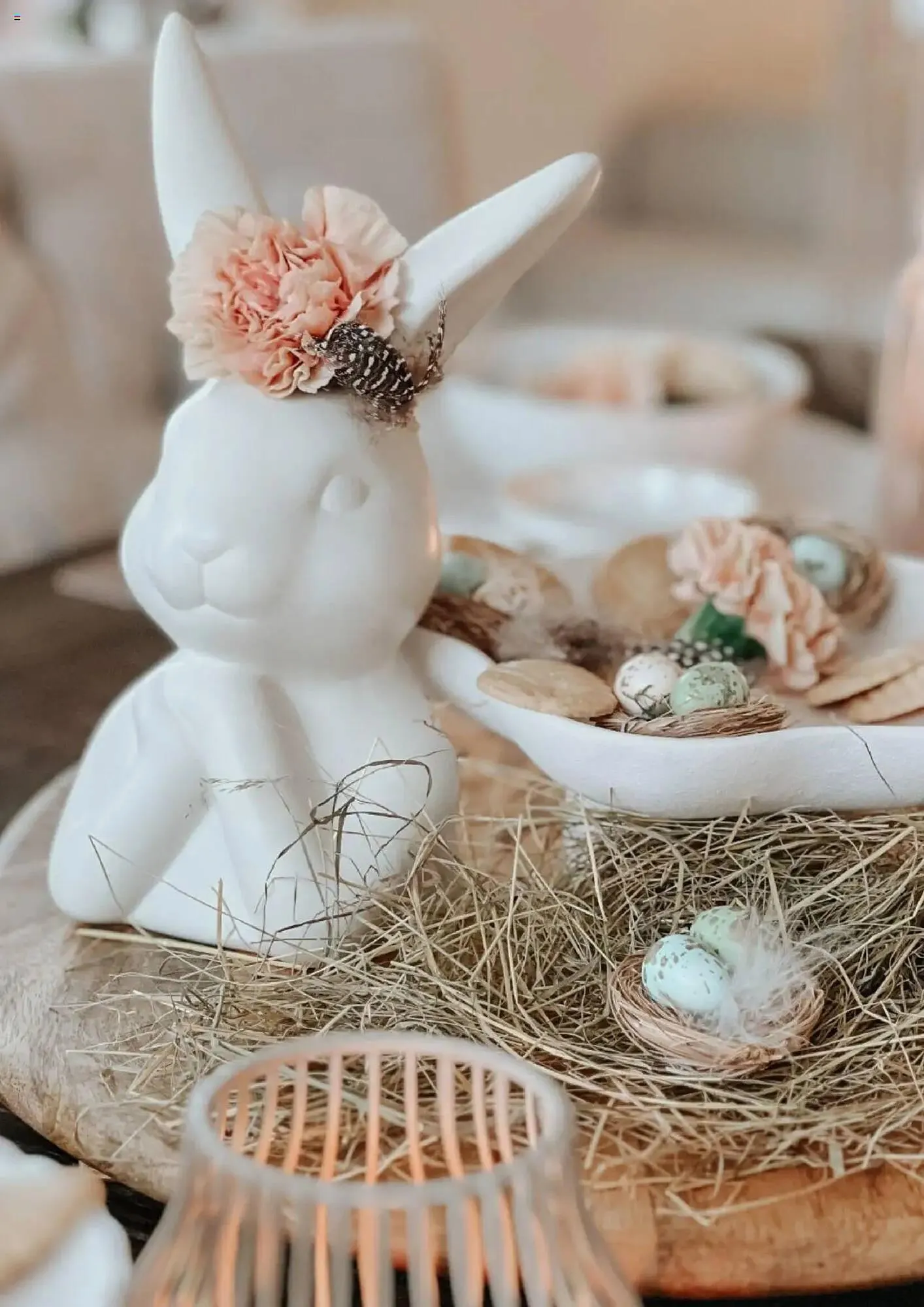 Depot Prospekt von 12. März bis 11. April 2025 - Prospekt seite 17