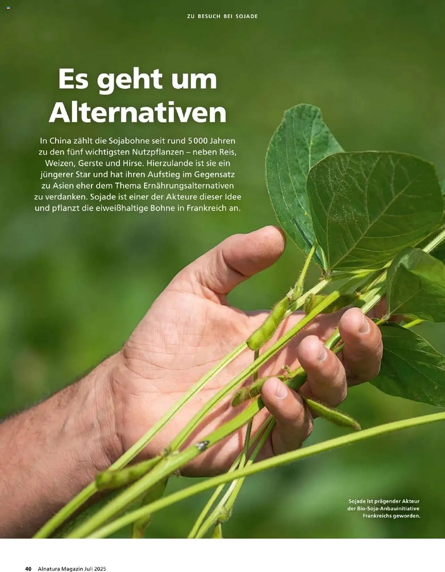 Alnatura Prospekt von 1. Juli bis 31. Juli 2025 - Prospekt seite 40