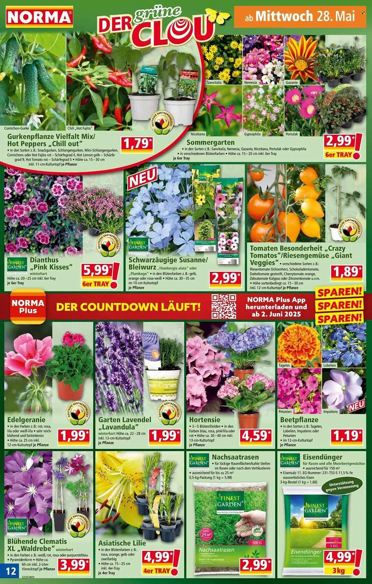 Norma Prospekt von 26. Mai bis 1. Juni 2025 - Prospekt seite 12
