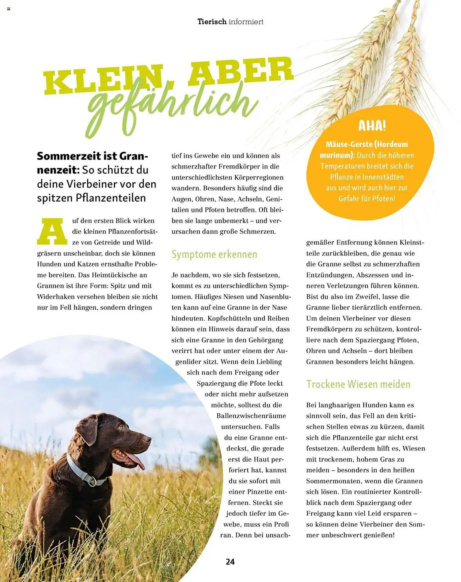 Fressnapf Prospekt von 1. Juli bis 31. August 2025 - Prospekt seite 24