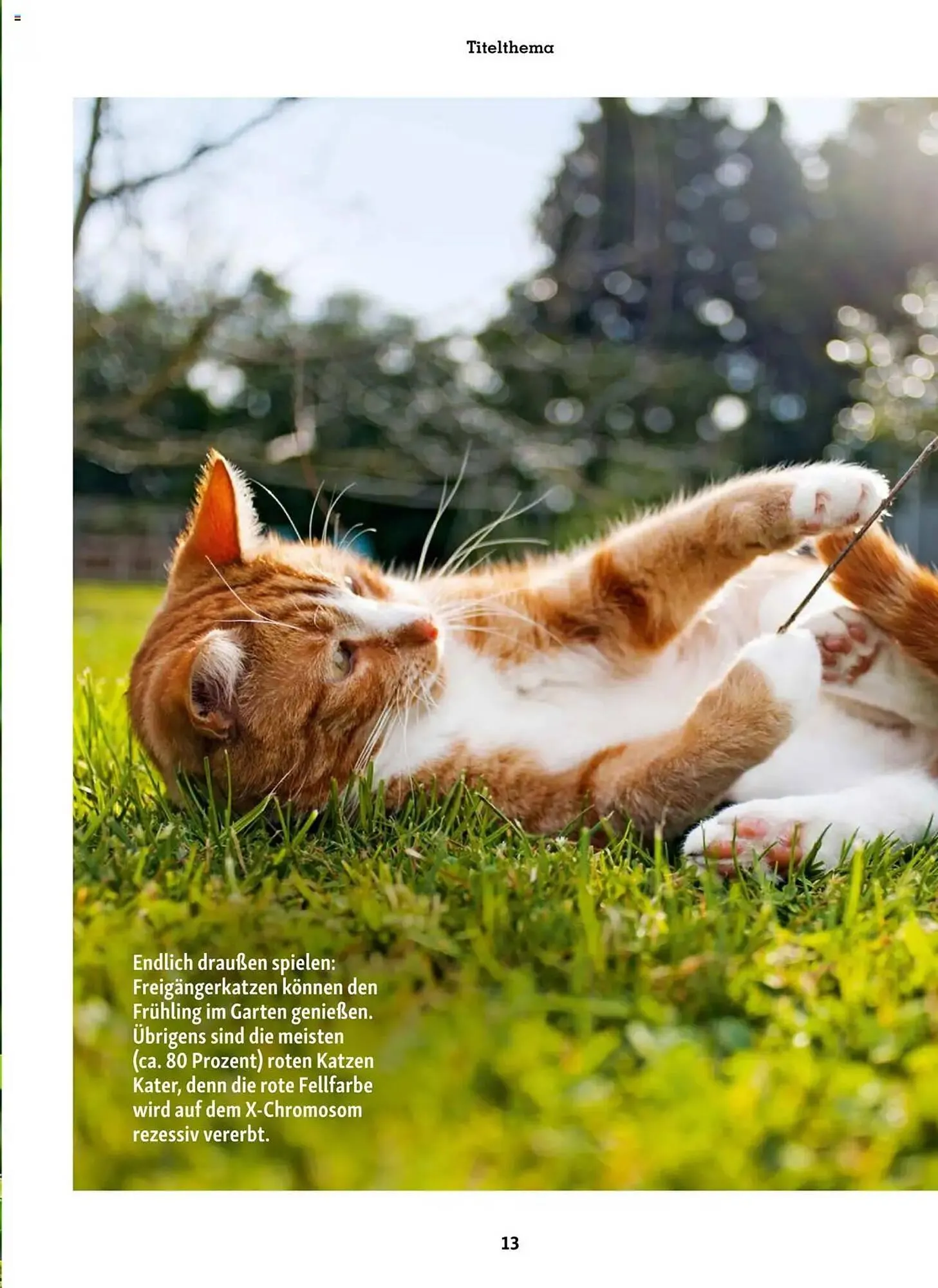 Fressnapf Prospekt von 1. März bis 2. Mai 2025 - Prospekt seite 13