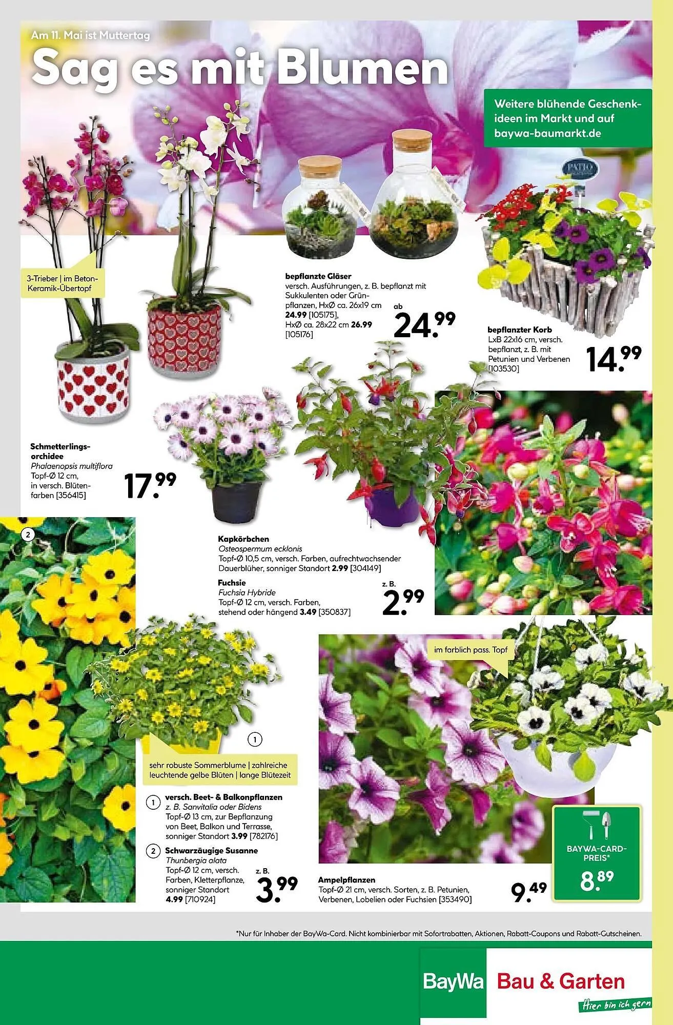 BayWa Prospekt von 5. Mai bis 11. Mai 2025 - Prospekt seite 24