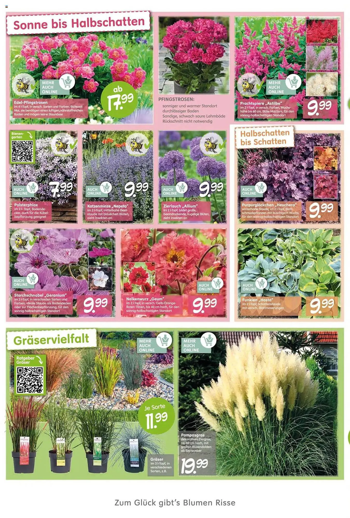 Blumen Risse Prospekt von 26. April bis 7. Mai 2025 - Prospekt seite 4